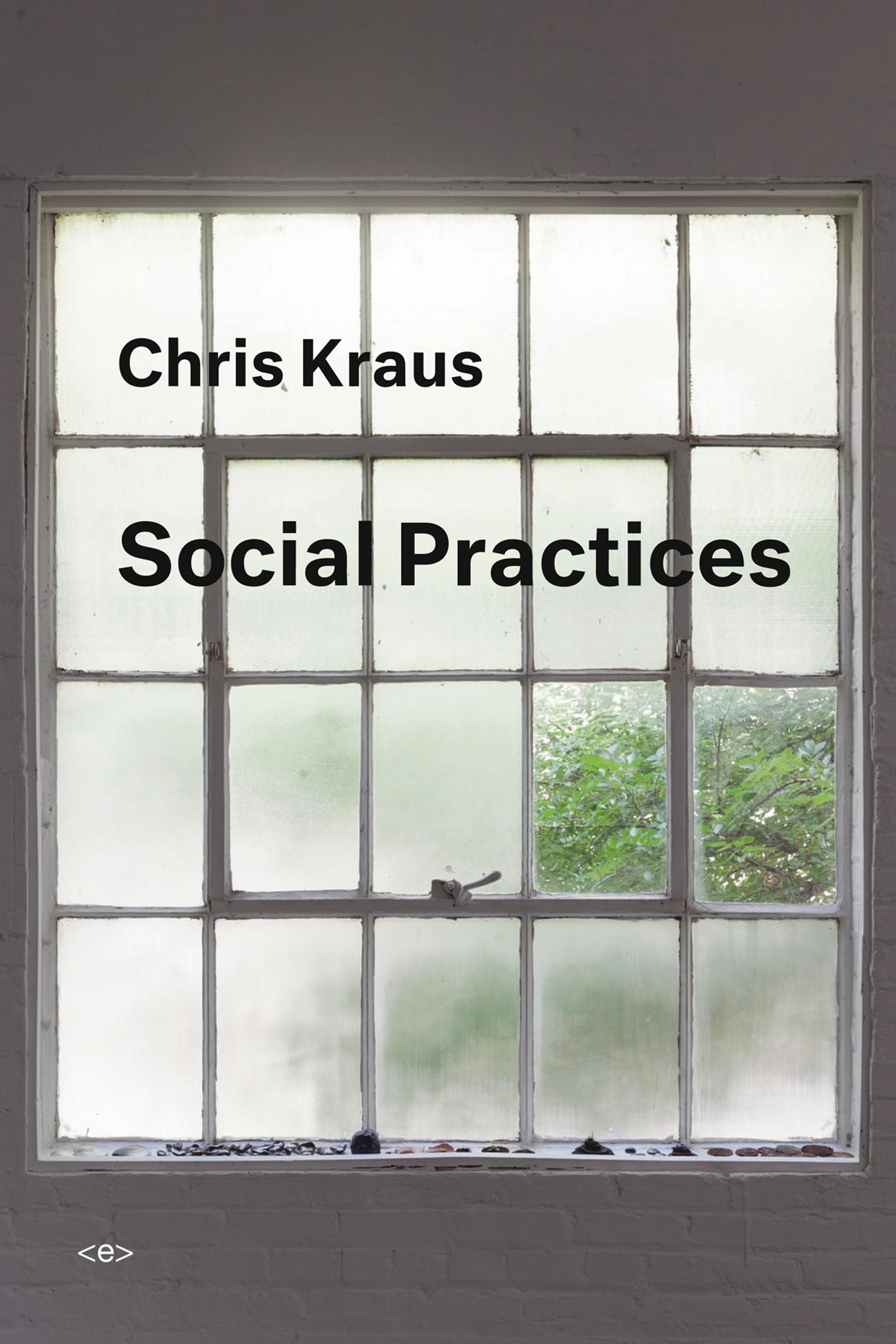 Social Practices (Semiotext(e) / Active Agents),Used