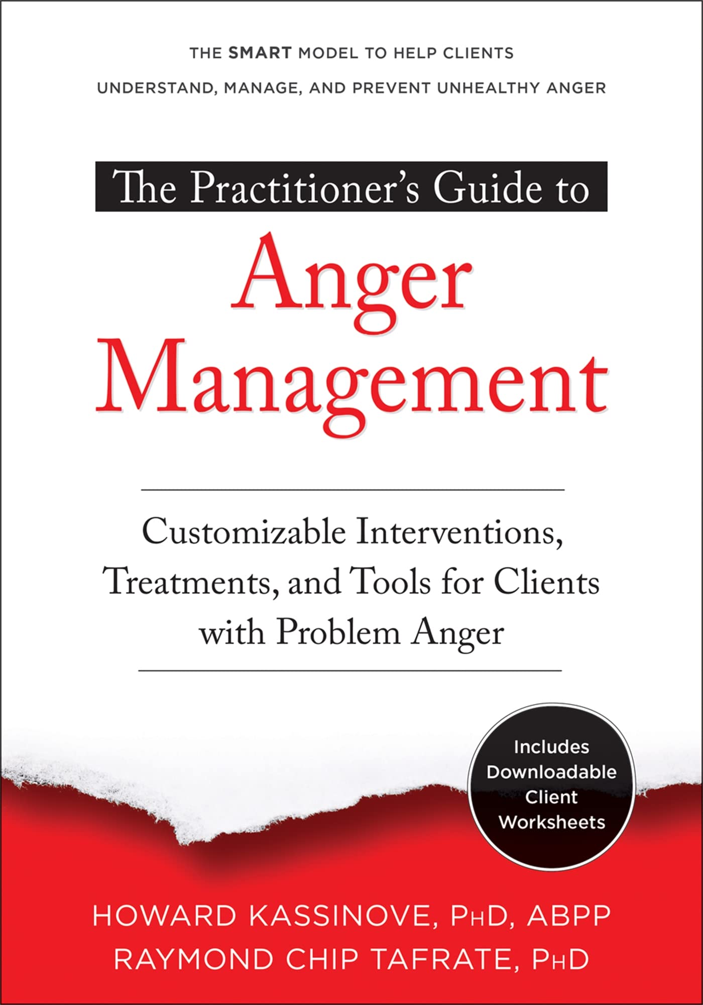 The Practitioners Guide To Anger Management: Customizable Interventions, Treatments, And Tools For Clients With Problem Anger