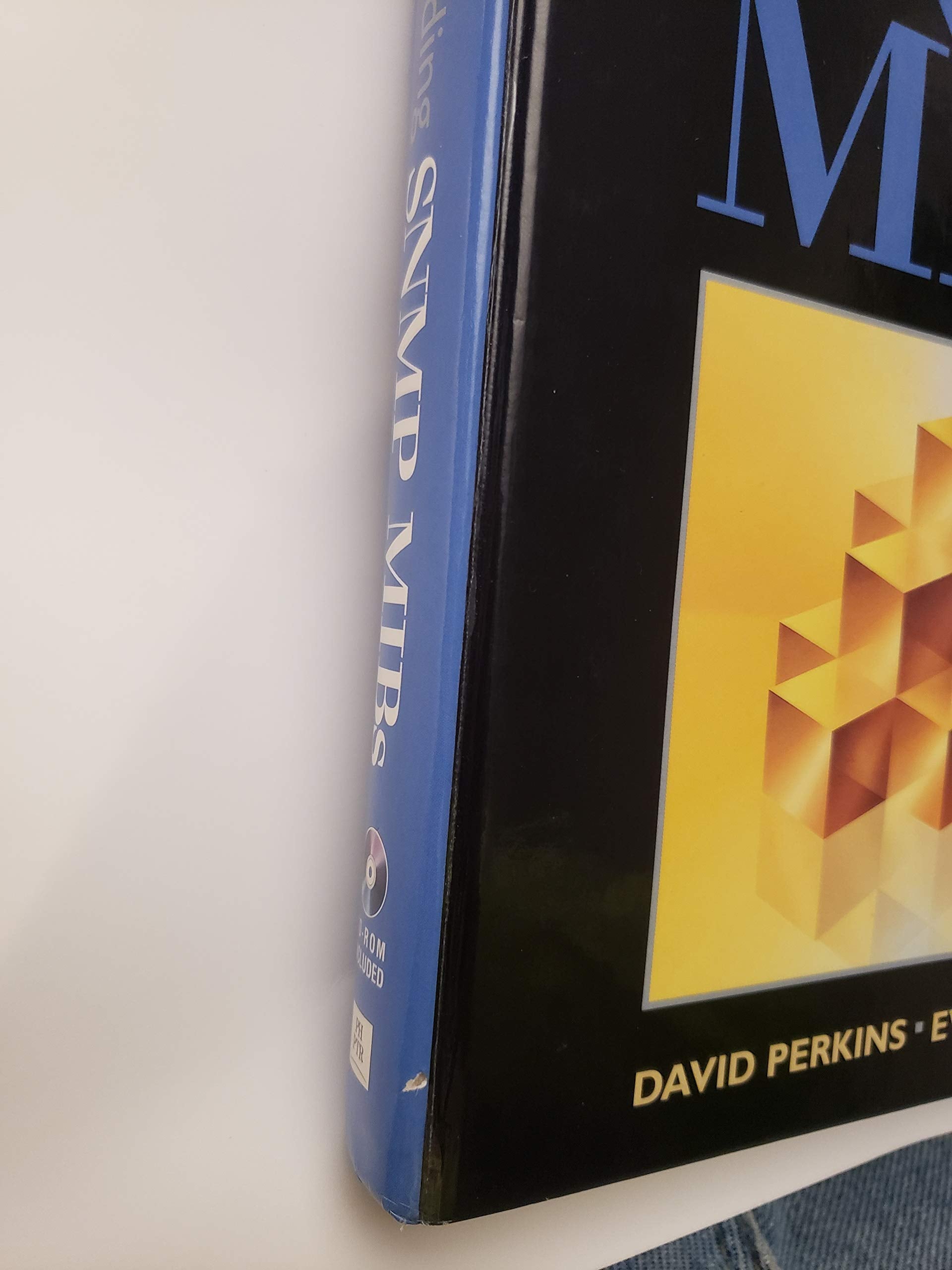 Understanding Snmp Mibs,Used