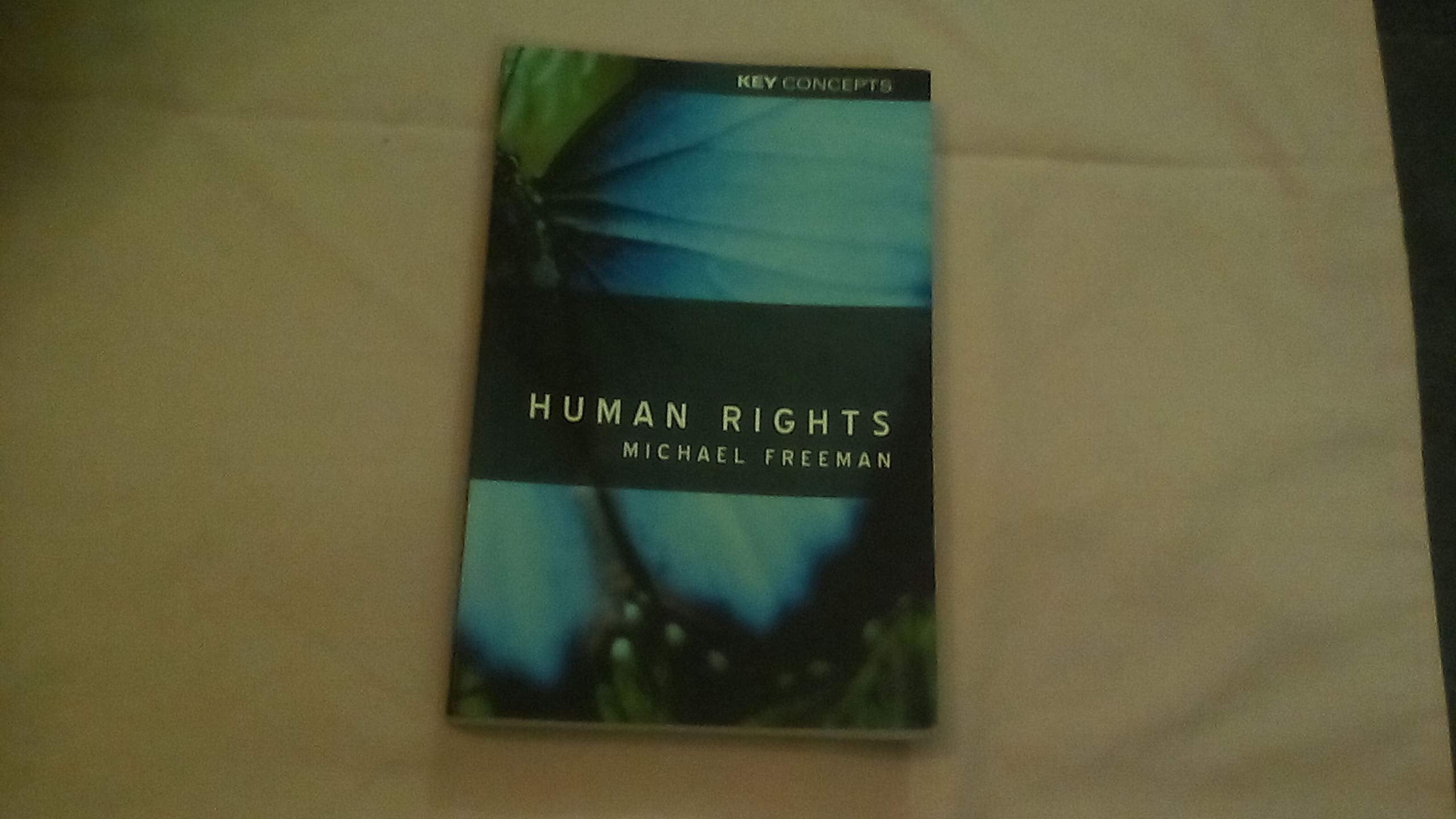 Human Rights: An Interdisciplinary Approach (Key Concepts),Used