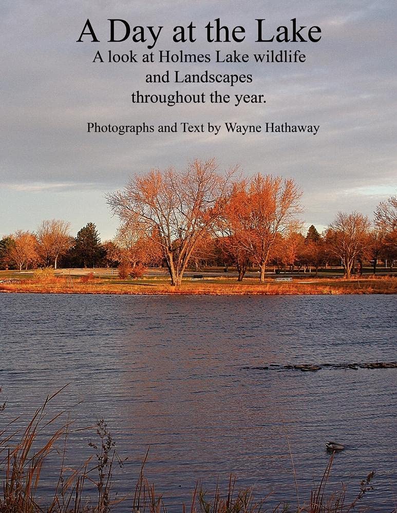 A Day at the Lake: A Look at Holmes Lake Wildlife and Landscapes Throughout the Year,Used