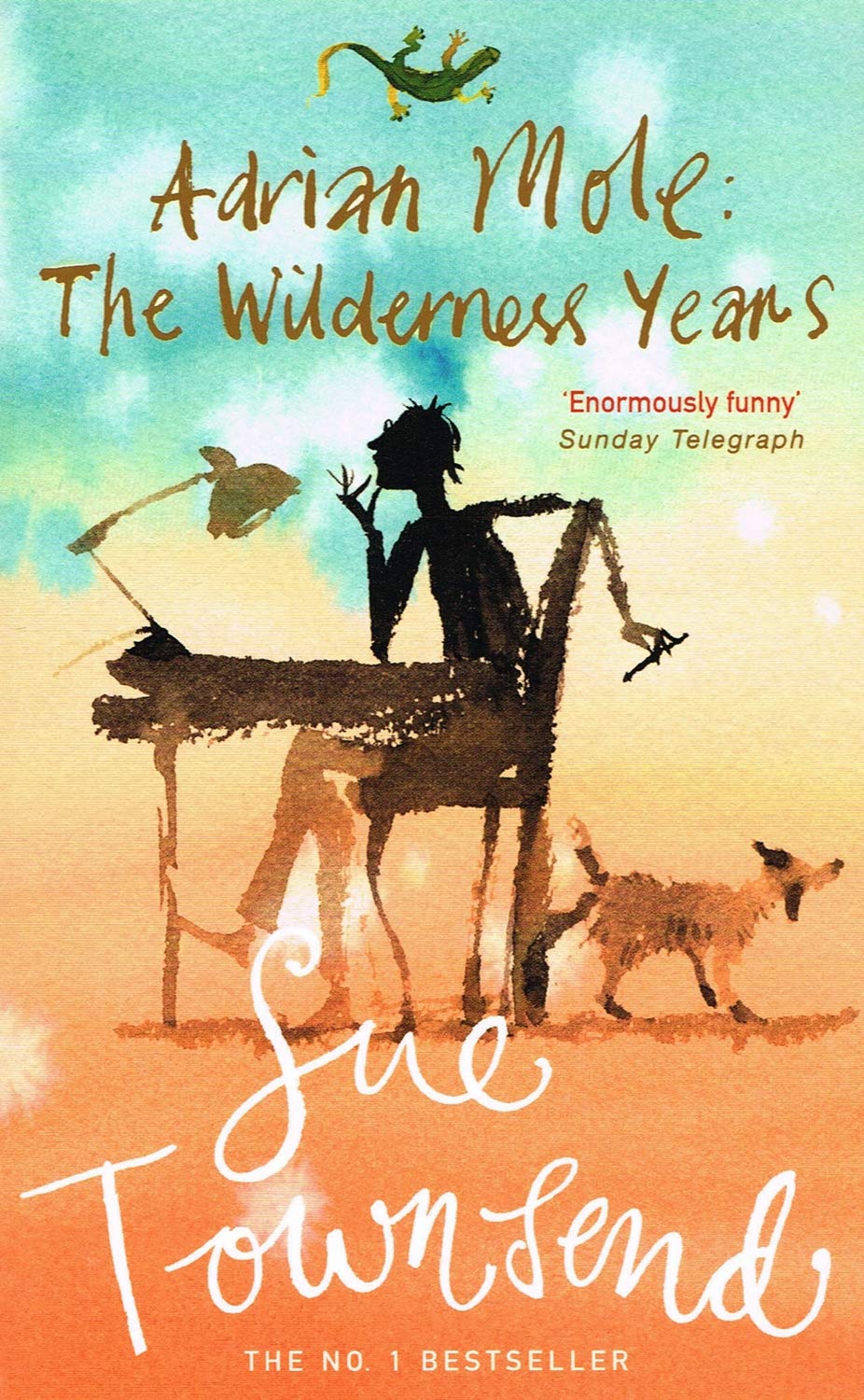 Adrian Mole The Wilderness Years,Used