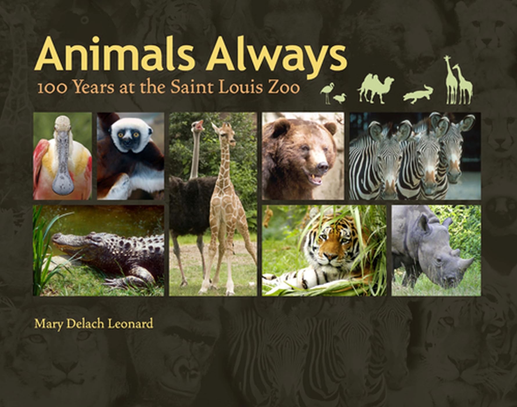 Animals Always: 100 Years at the Saint Louis Zoo (Volume 1),Used