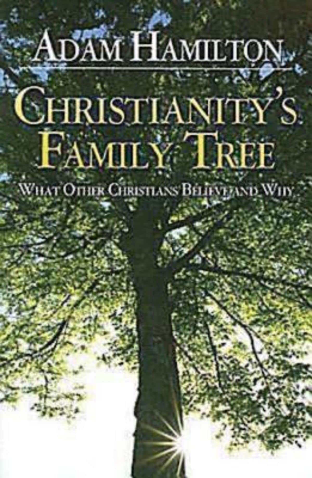 Christianity's Family Tree: What Other Christians Believe and Why,Used