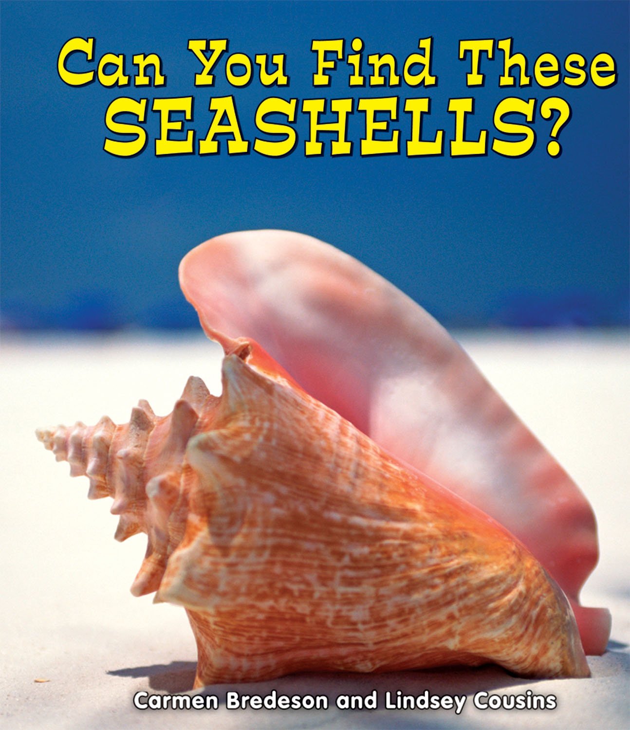 Can You Find These Seashells? (All About Nature),Used