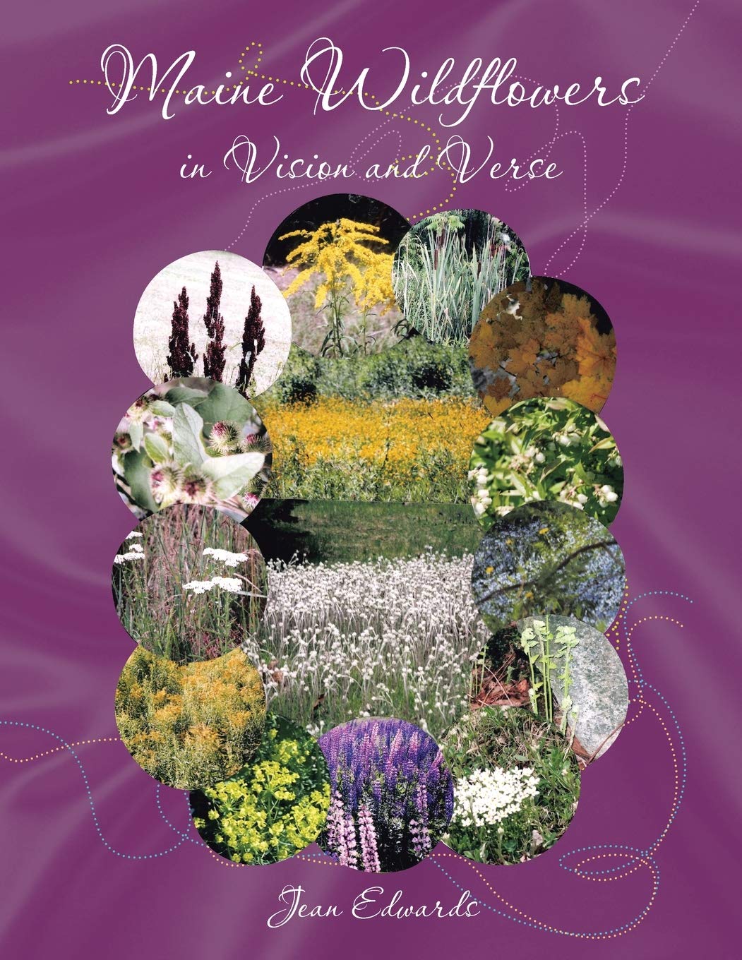 Maine Wildflowers In Vision And Verse,Used