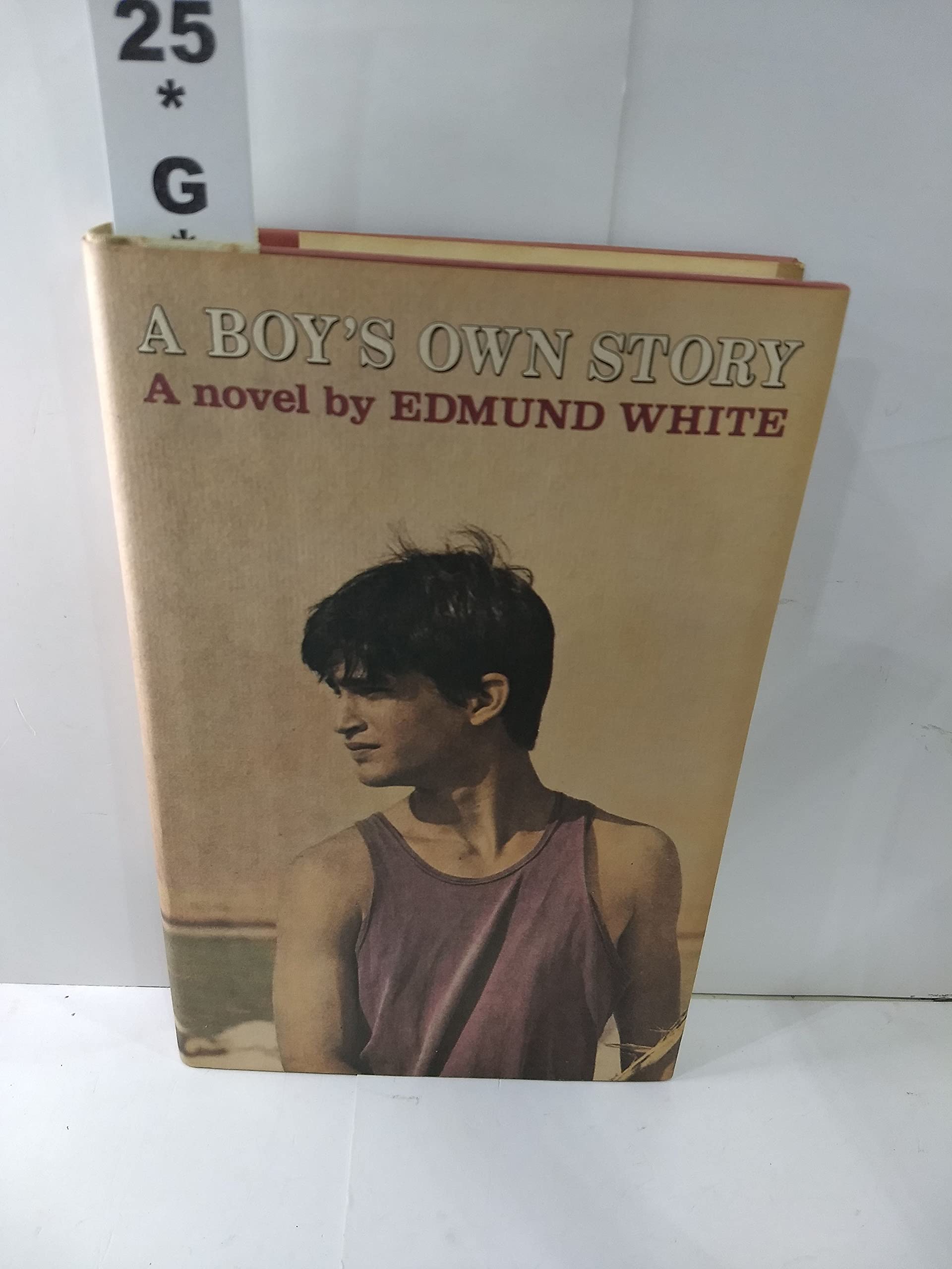 A Boy'S Own Story