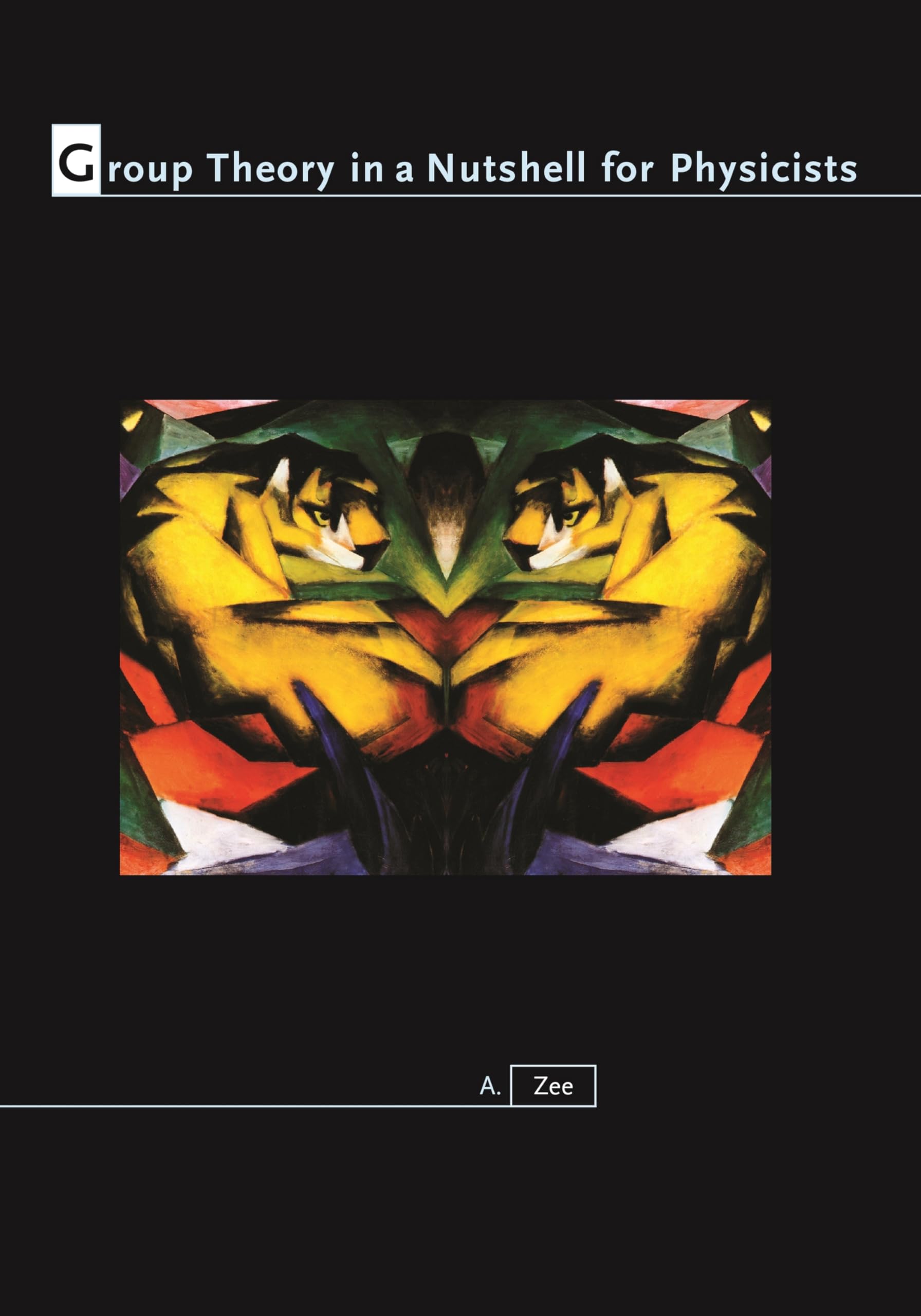 Group Theory In A Nutshell For Physicists,Used