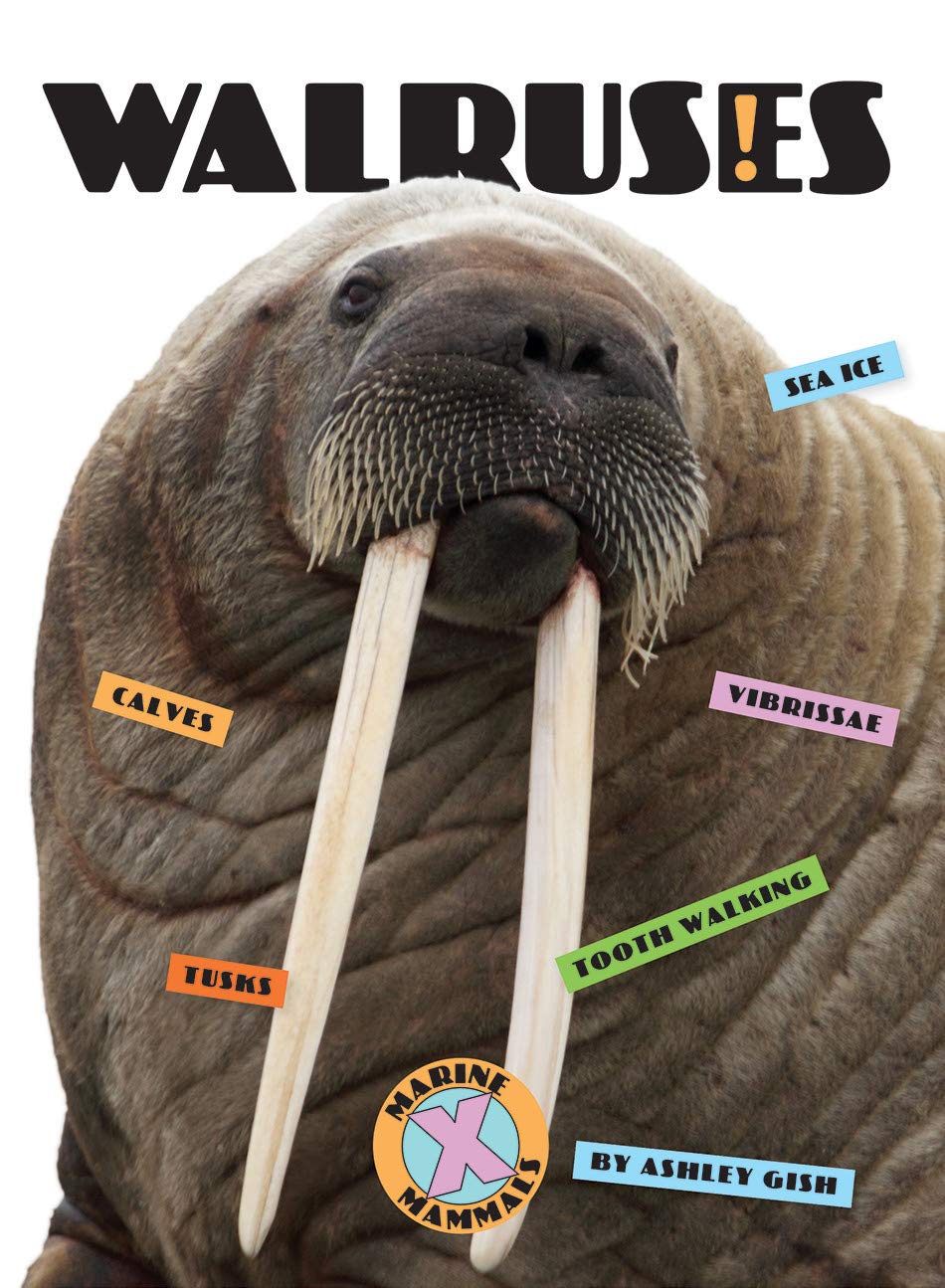 Walruses (Xbooks: Marine Mammals)