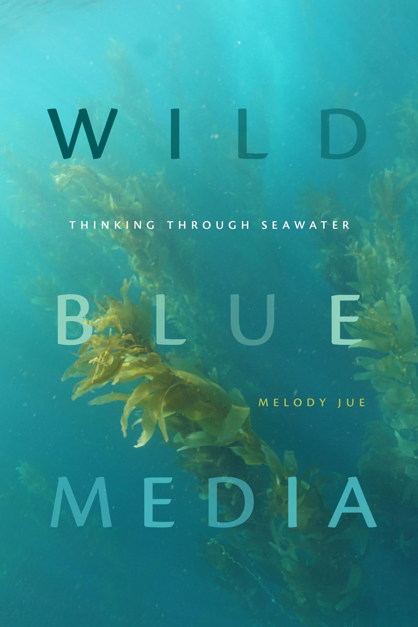 Wild Blue Media: Thinking through Seawater (Elements),Used