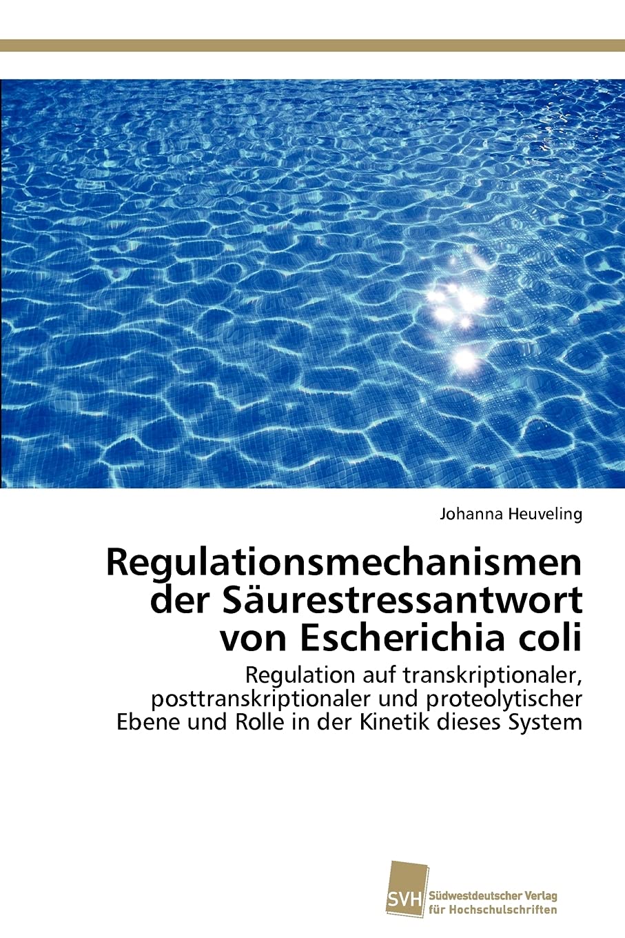 Regulationsmechanismen der Surestressantwort von Escherichia coli: Regulation auf transkriptionaler, posttranskriptionaler und p,Used
