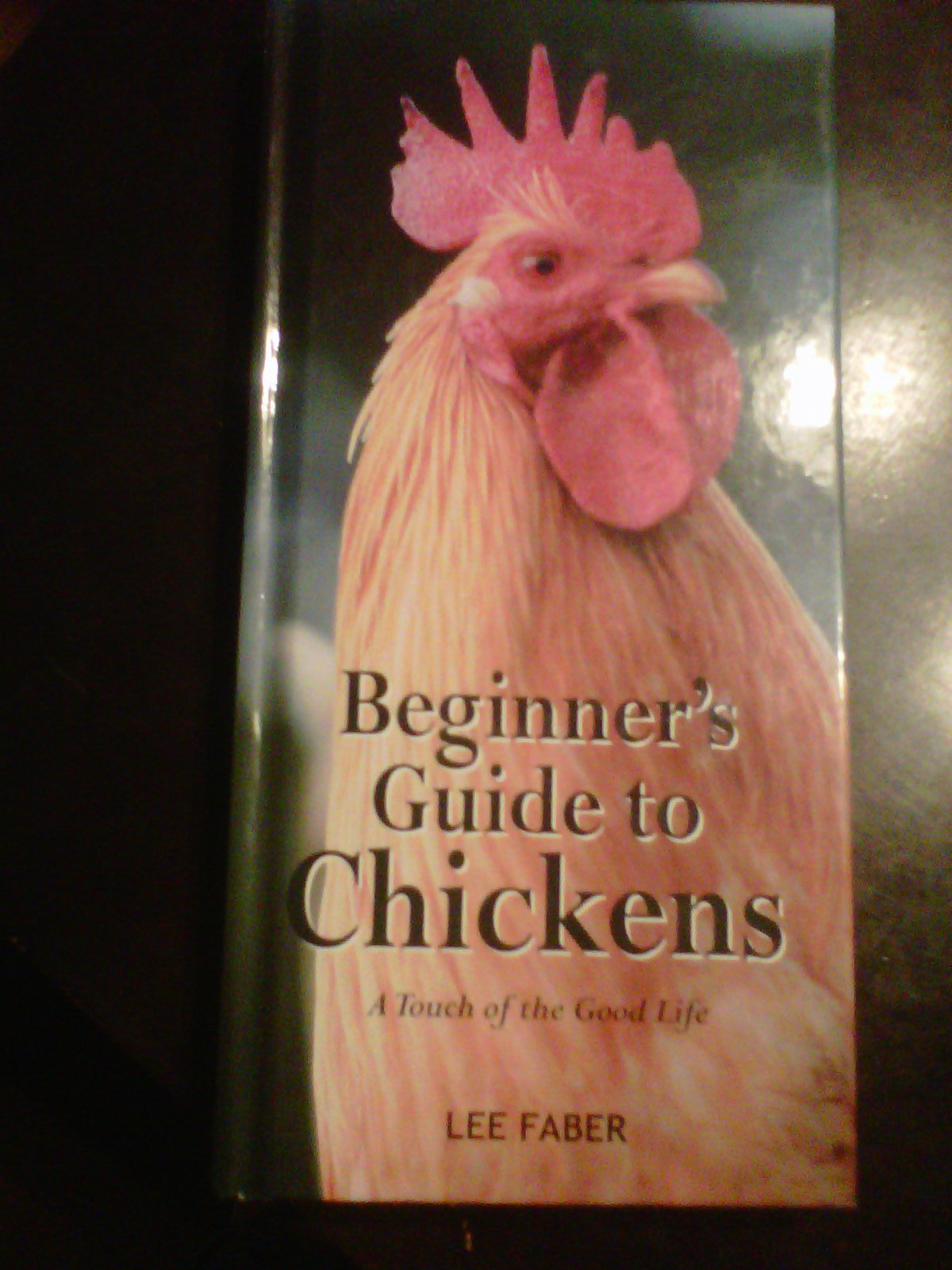 Beginner'S Guide To Chickens,Used