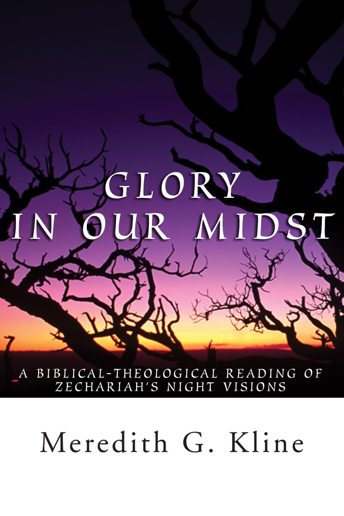 Glory In Our Midst: A BiblicalTheological Reading of Zechariah's Night Visions,New