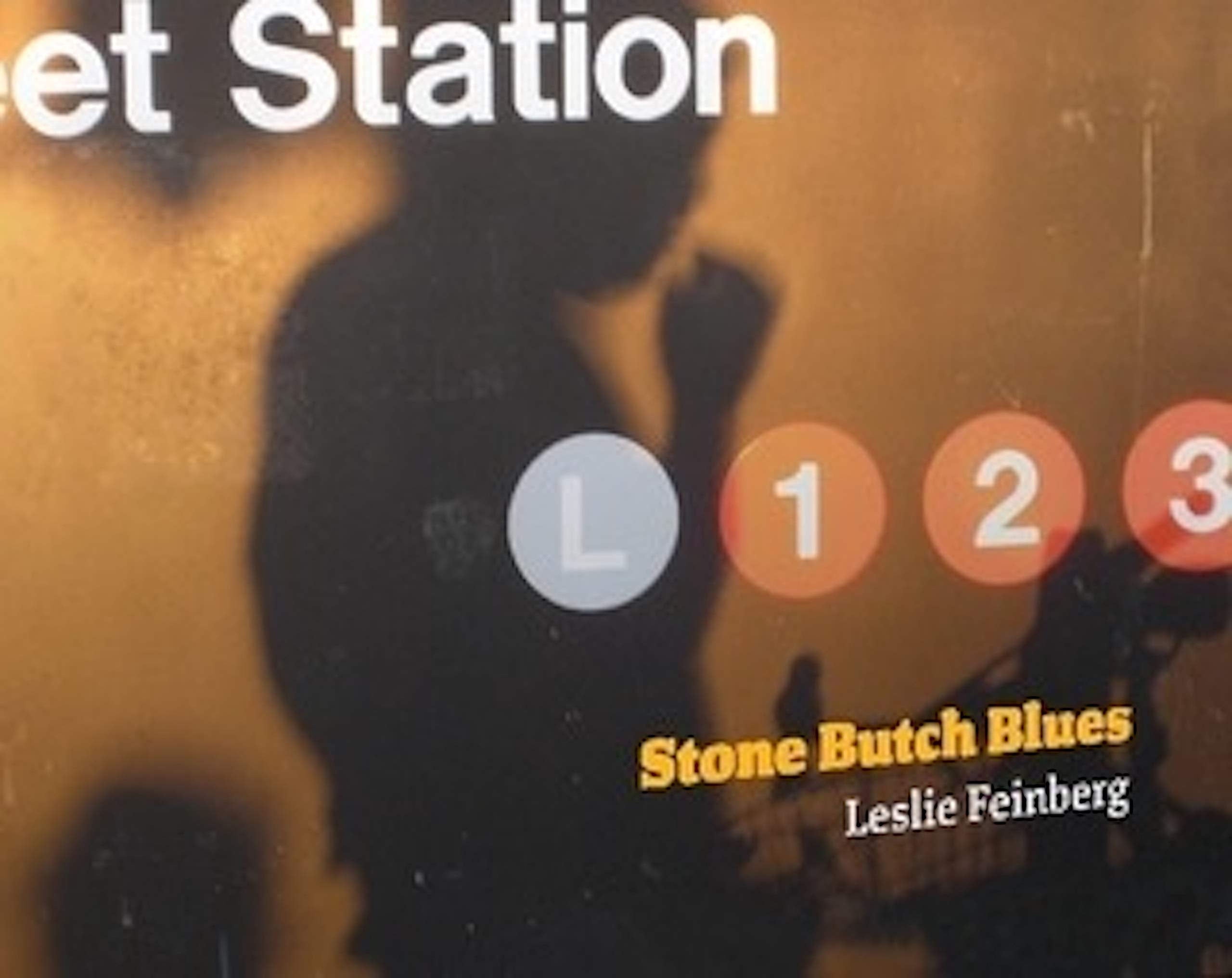 Stone Butch Blues,Used