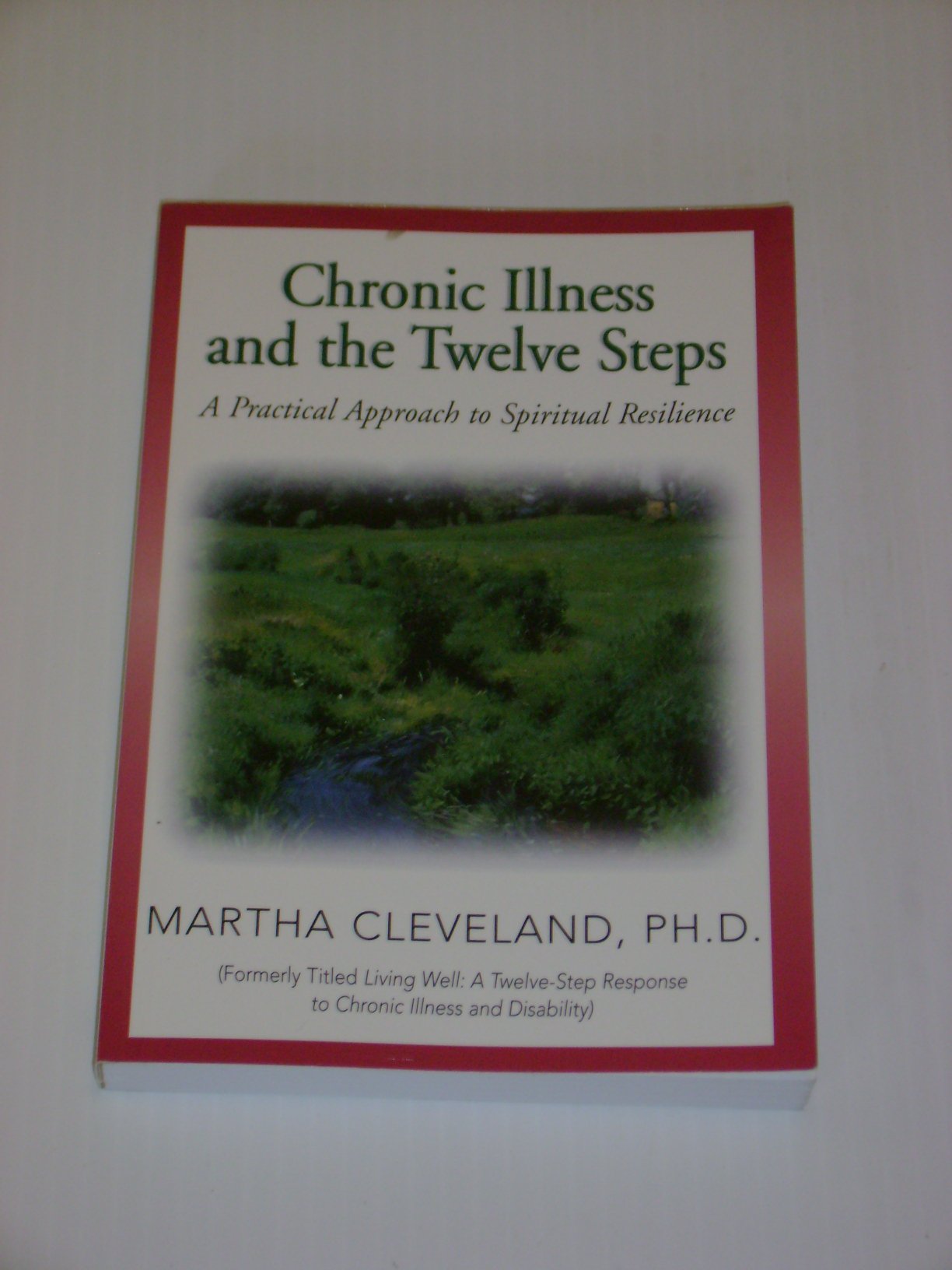 Chronic Illness and the Twelve Steps: A Practical Approach to Spiritual Resilience,Used
