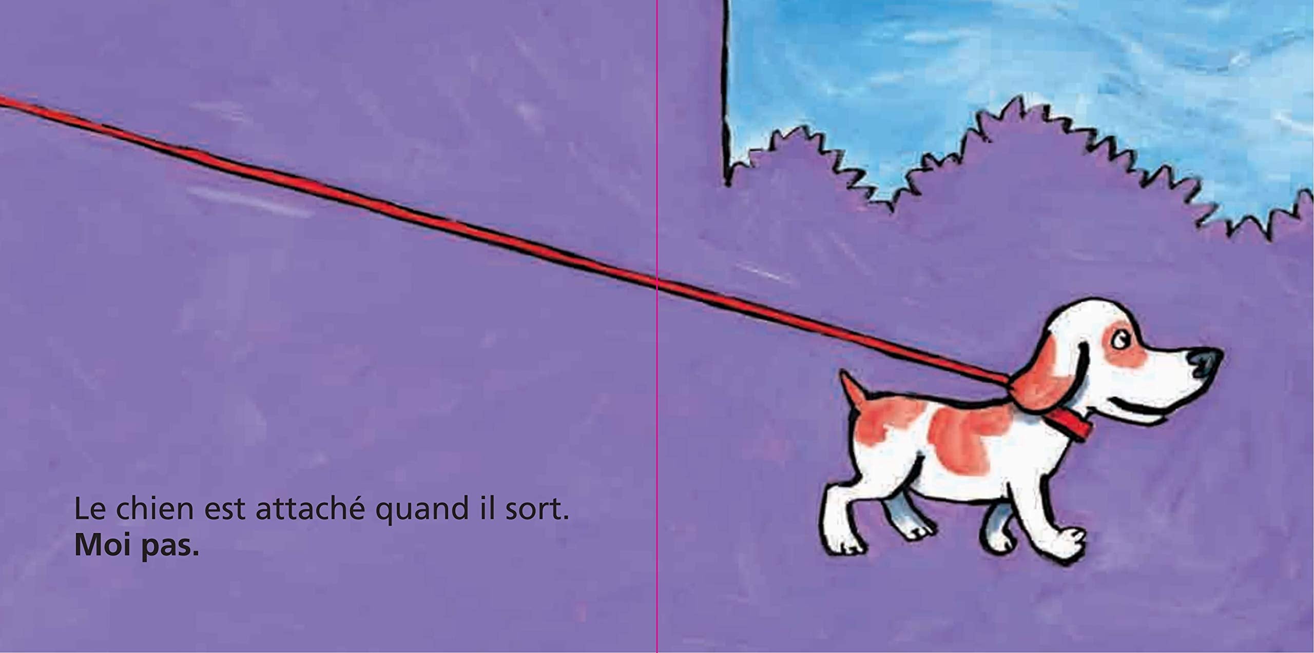 MOI PAS MOI, AUSSI ANTHOLOGIE: ELEPHANT ET MOI / MOUTON ET MOI / CHIEN ET MOI / SINGE ET MOI (French Edition),Used