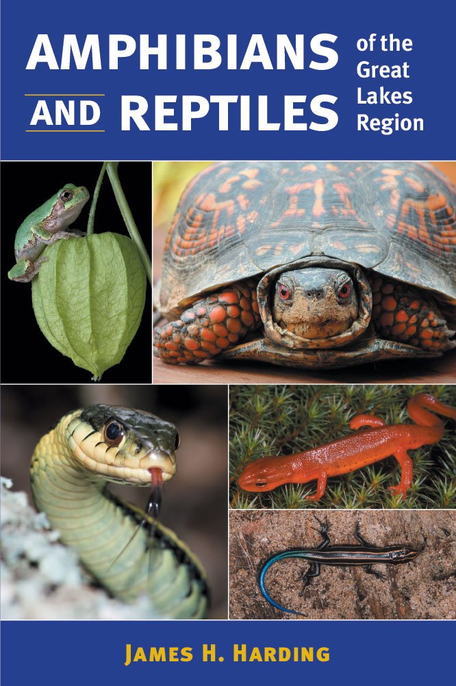 Amphibians and Reptiles of the Great Lakes Region (Great Lakes Environment),Used
