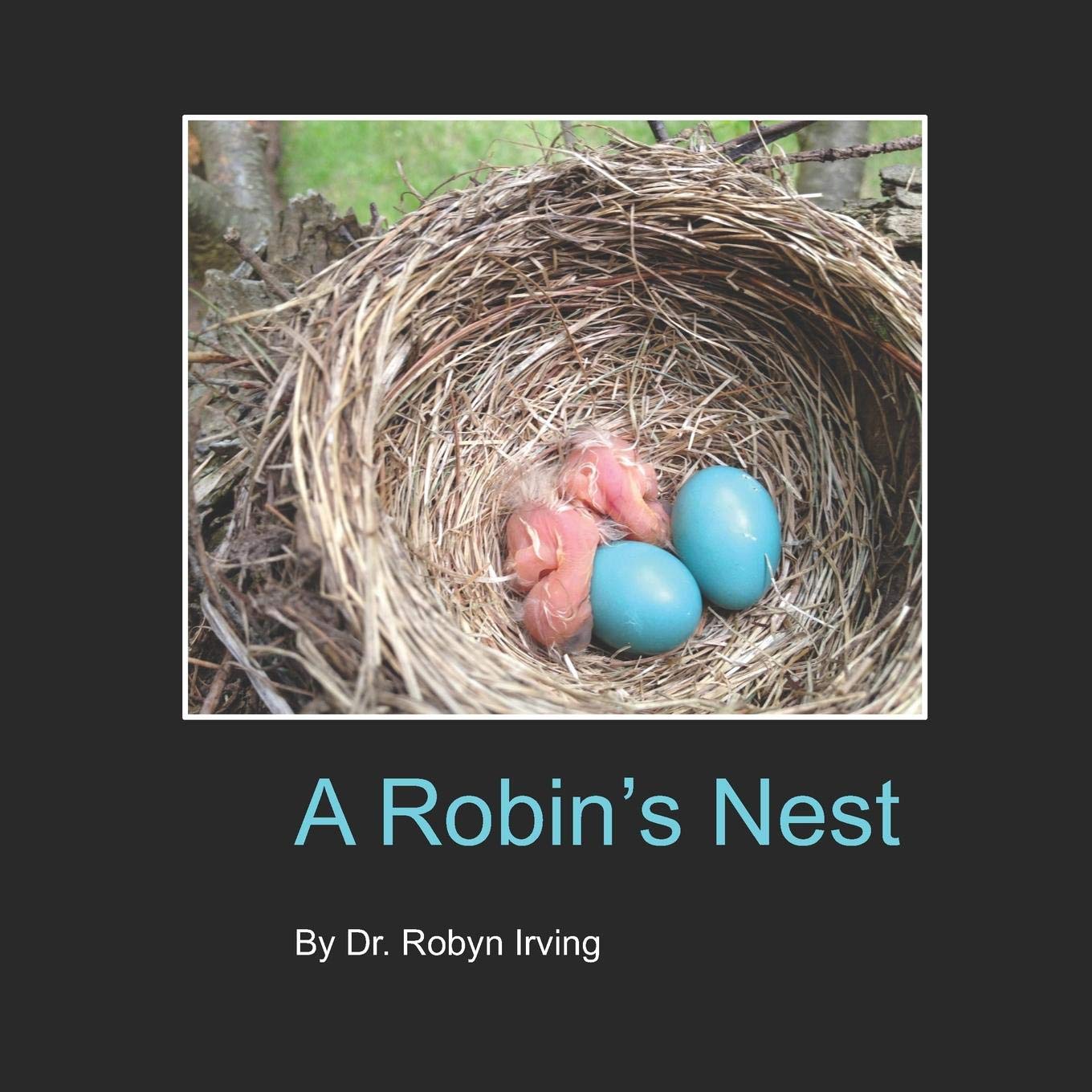 A Robin's Nest,Used