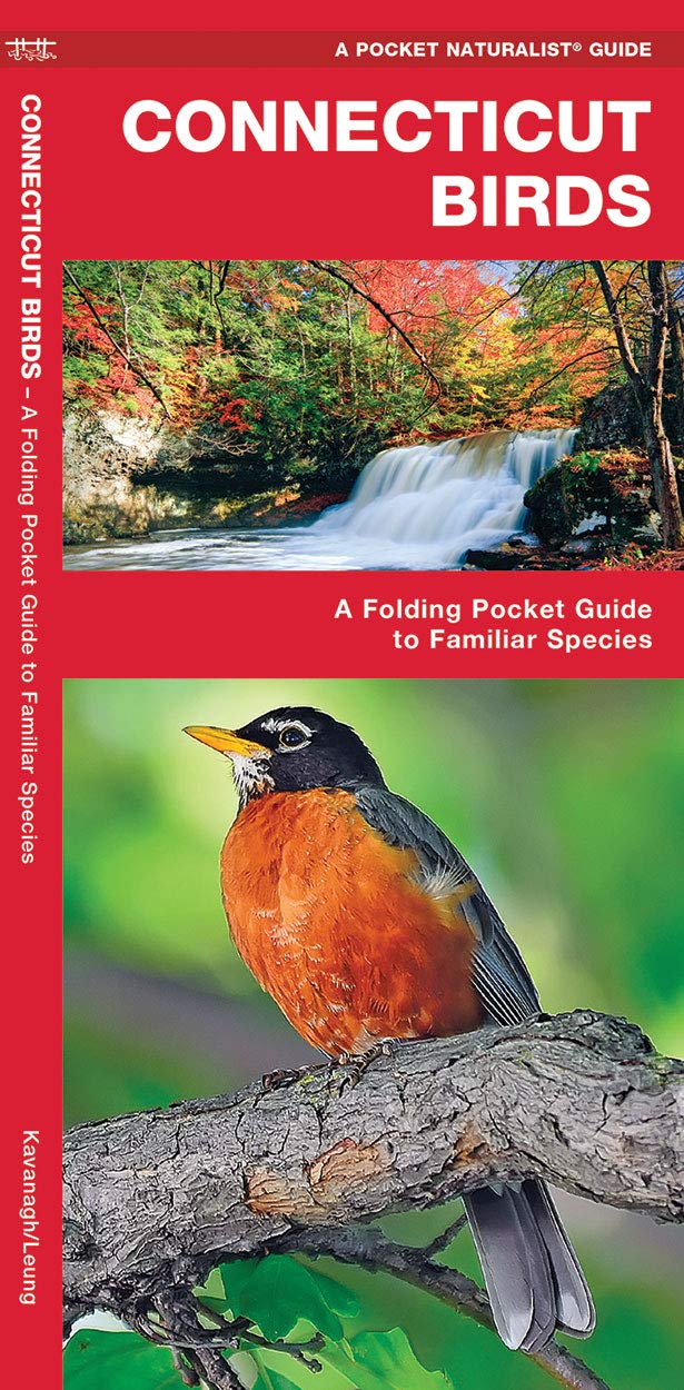Connecticut Birds: A Folding Pocket Guide to Familiar Species (Wildlife and Nature Identification),Used