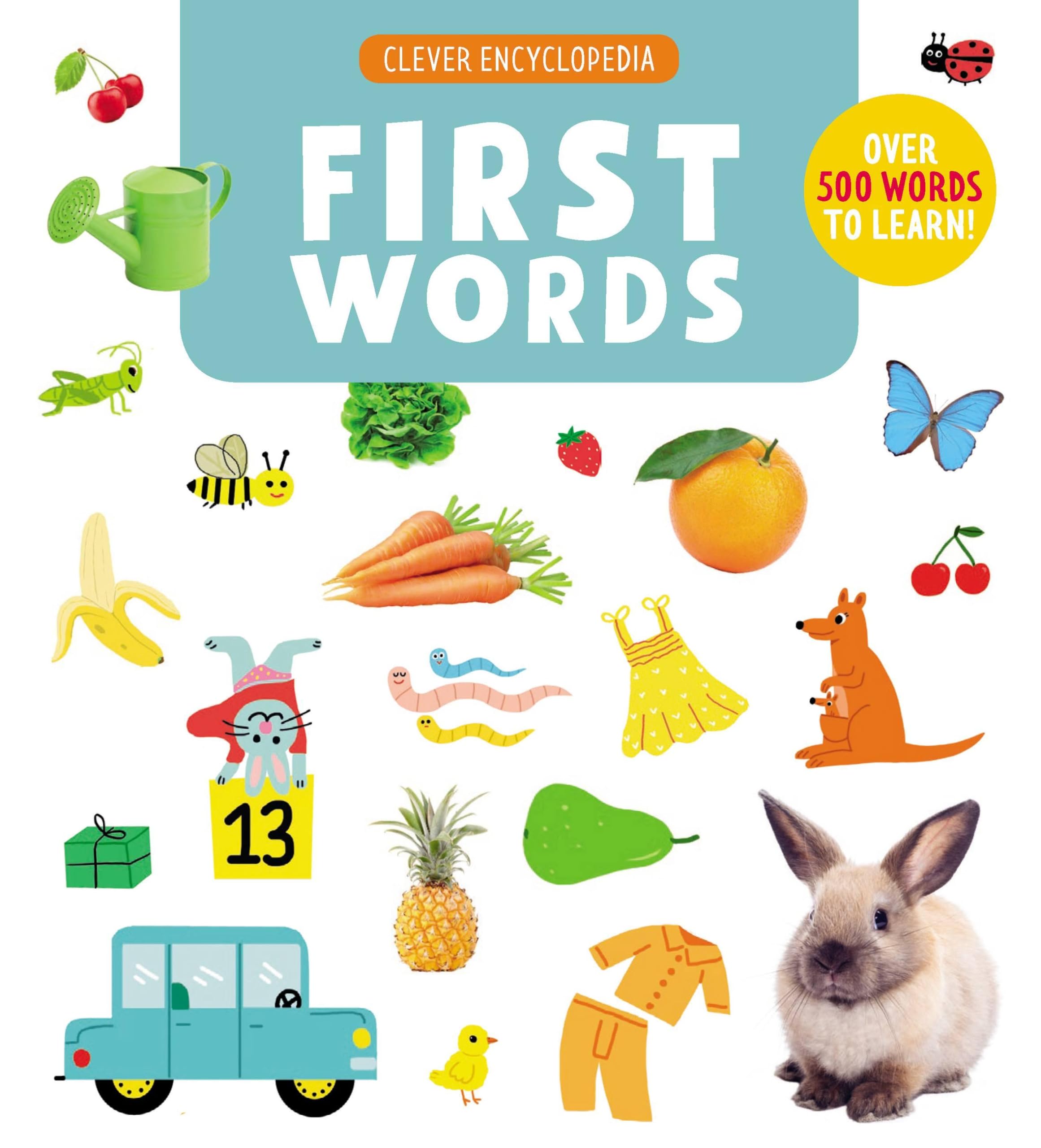First Words: Over 500 Words To Learn! (Clever Encyclopedia)