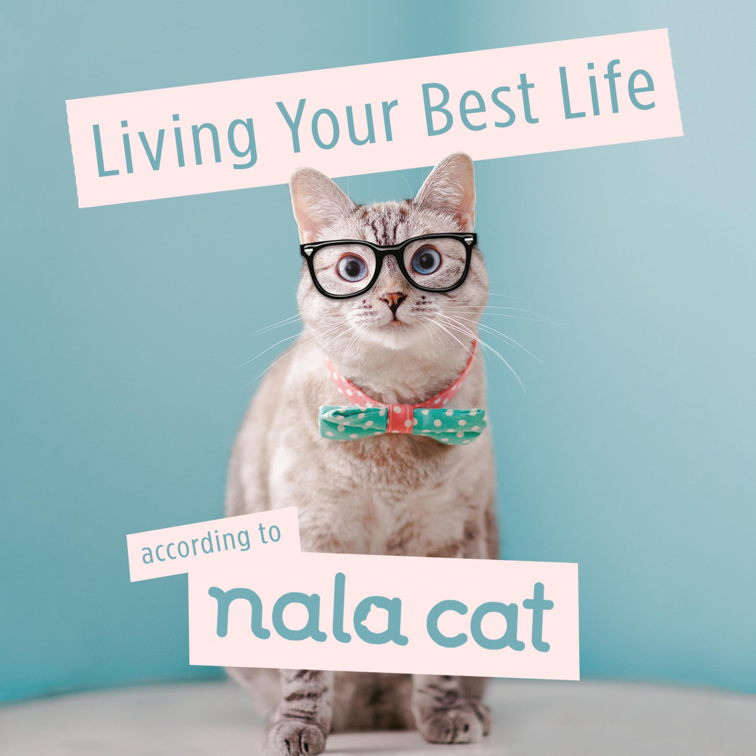 Living Your Best Life According to Nala Cat,Used