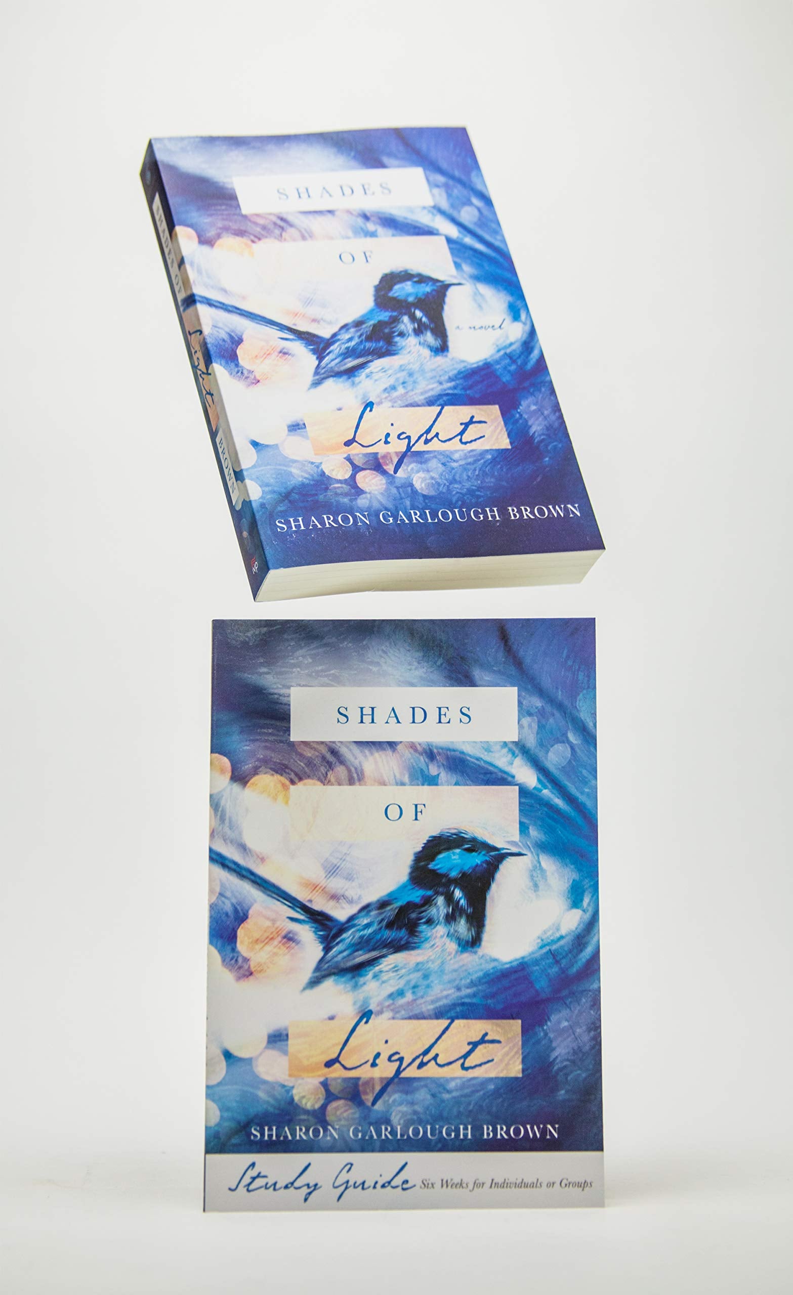 Shades of Light: A Novel,Used
