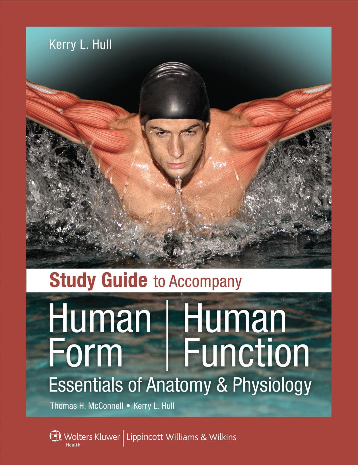 Study Guide to Accompany Human Form Human Function: Essentials of Anatomy & Physiology: Essentials of Anatomy & Physiology,Used