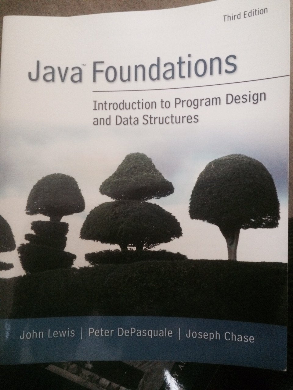 Java Foundations (3rd Edition),Used