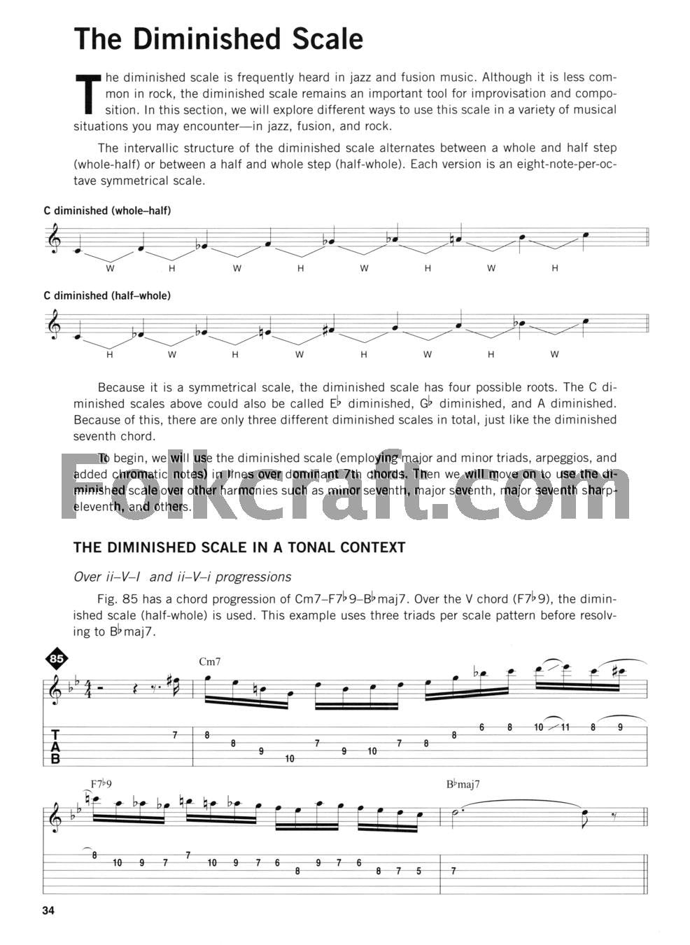 Advanced Scale Concepts and Licks for Guitar: Private Lessons,Used