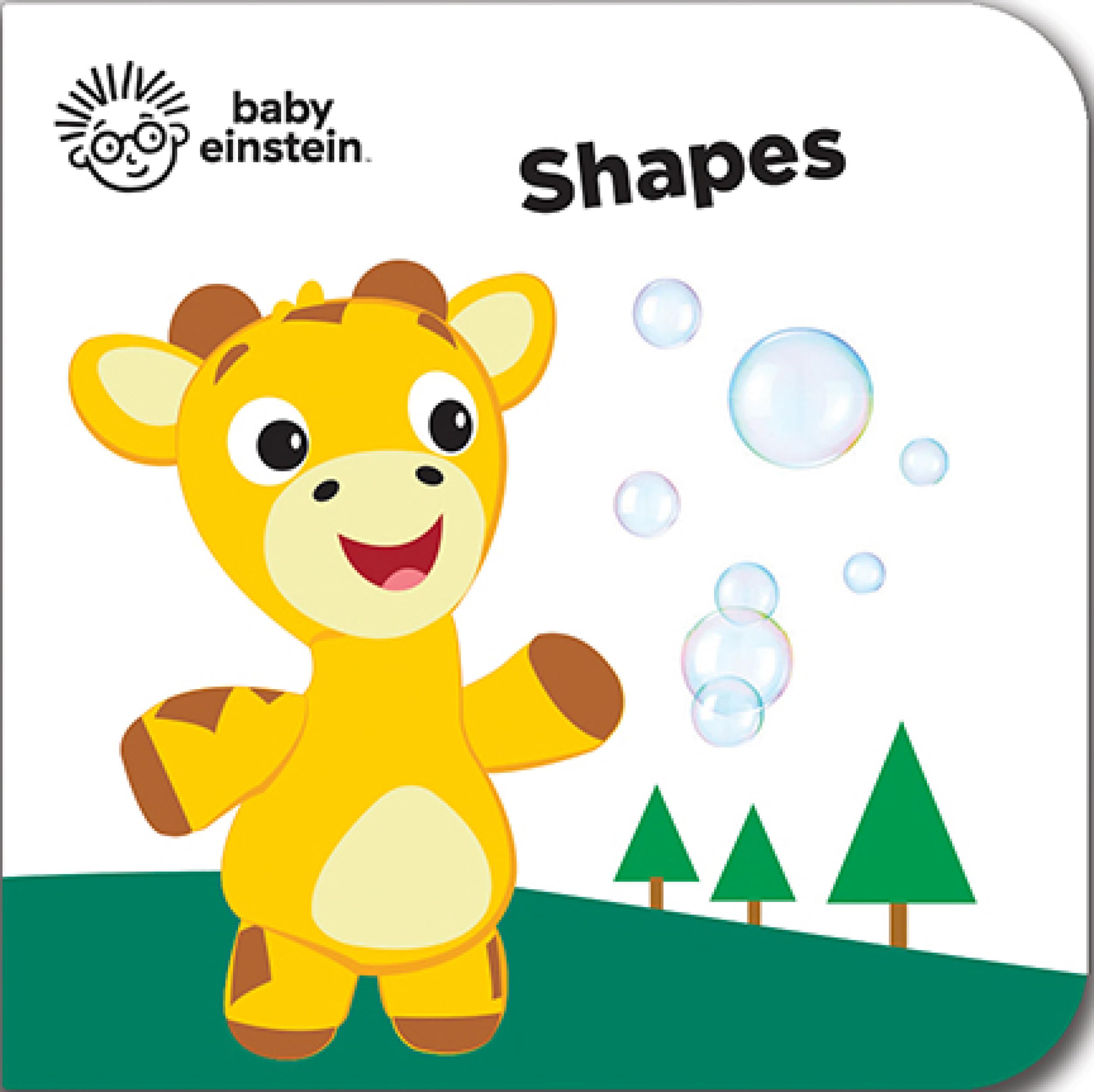 Baby Einstein  My First Library Board Book Block 12Book Set  First Words, Alphabet, Numbers, and More!  PI Kids,Used