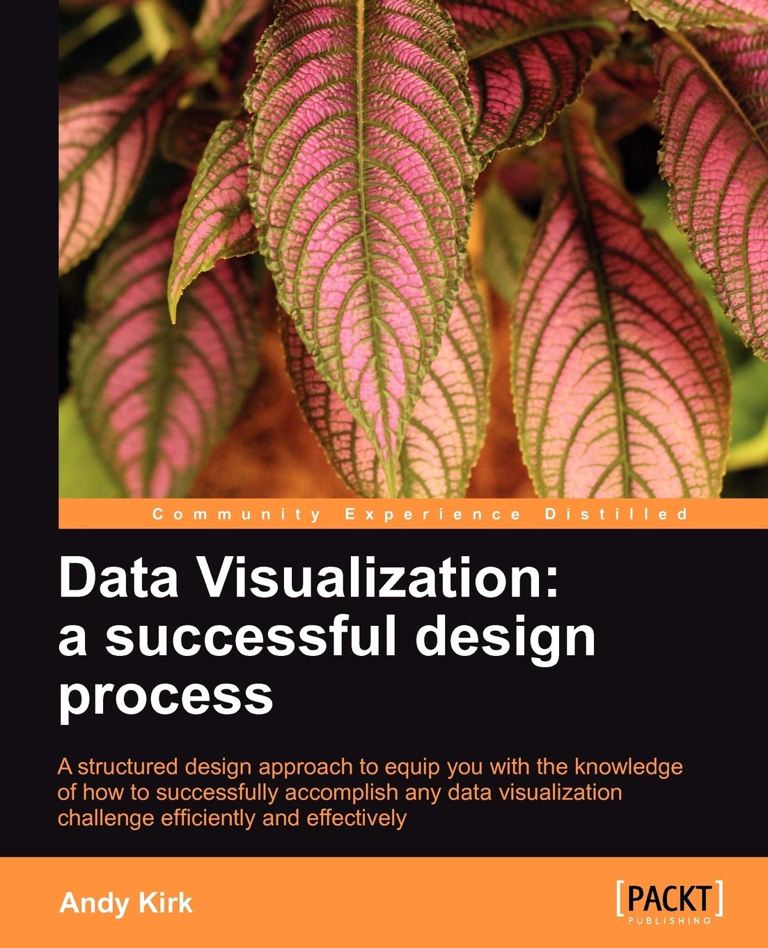 Data Visualization: A Successful Design Process: A Structured Design Approach to Equip You with the Knowledge of How to Successf,Used