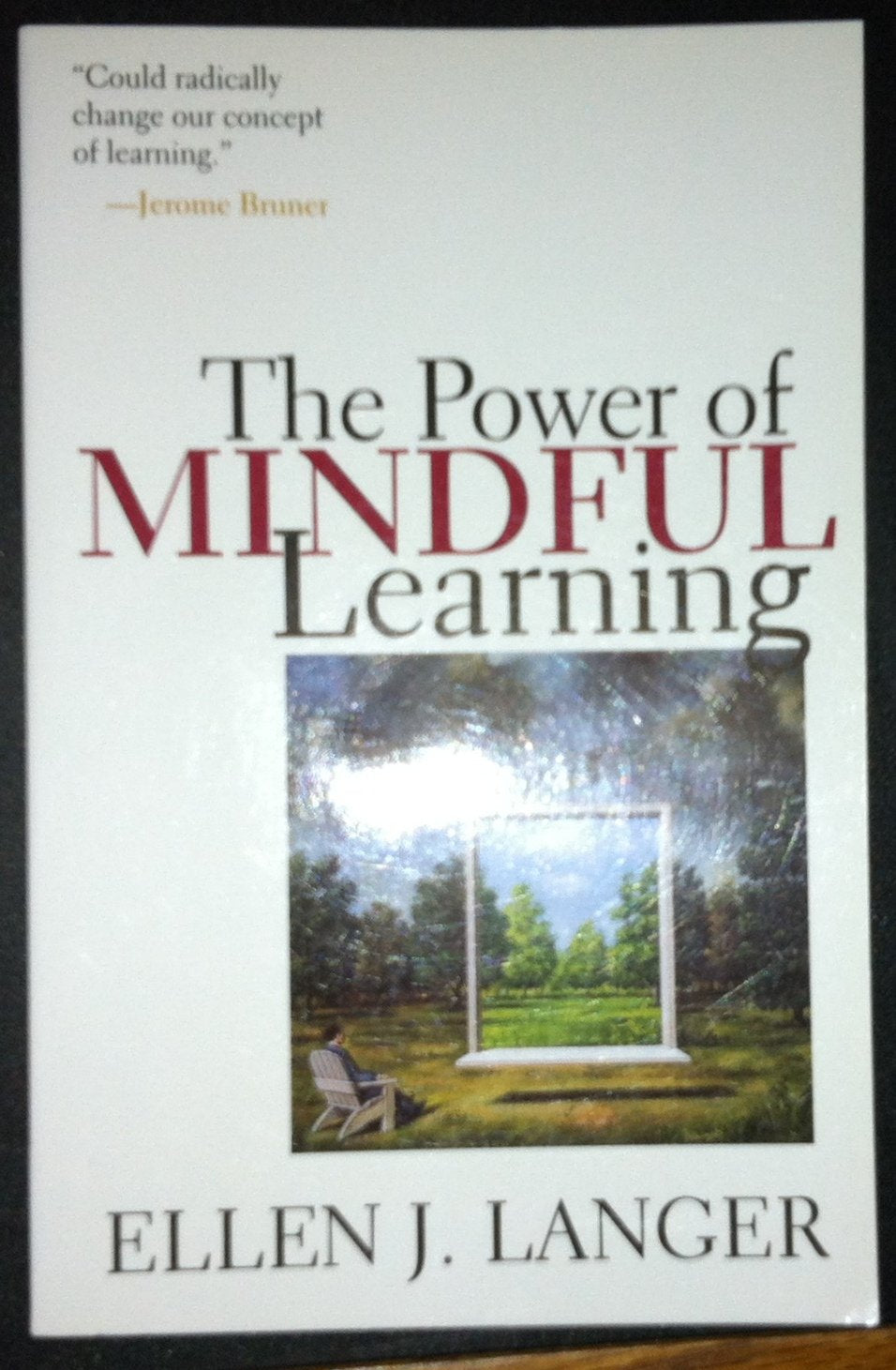 The Power Of Mindful Learning,New
