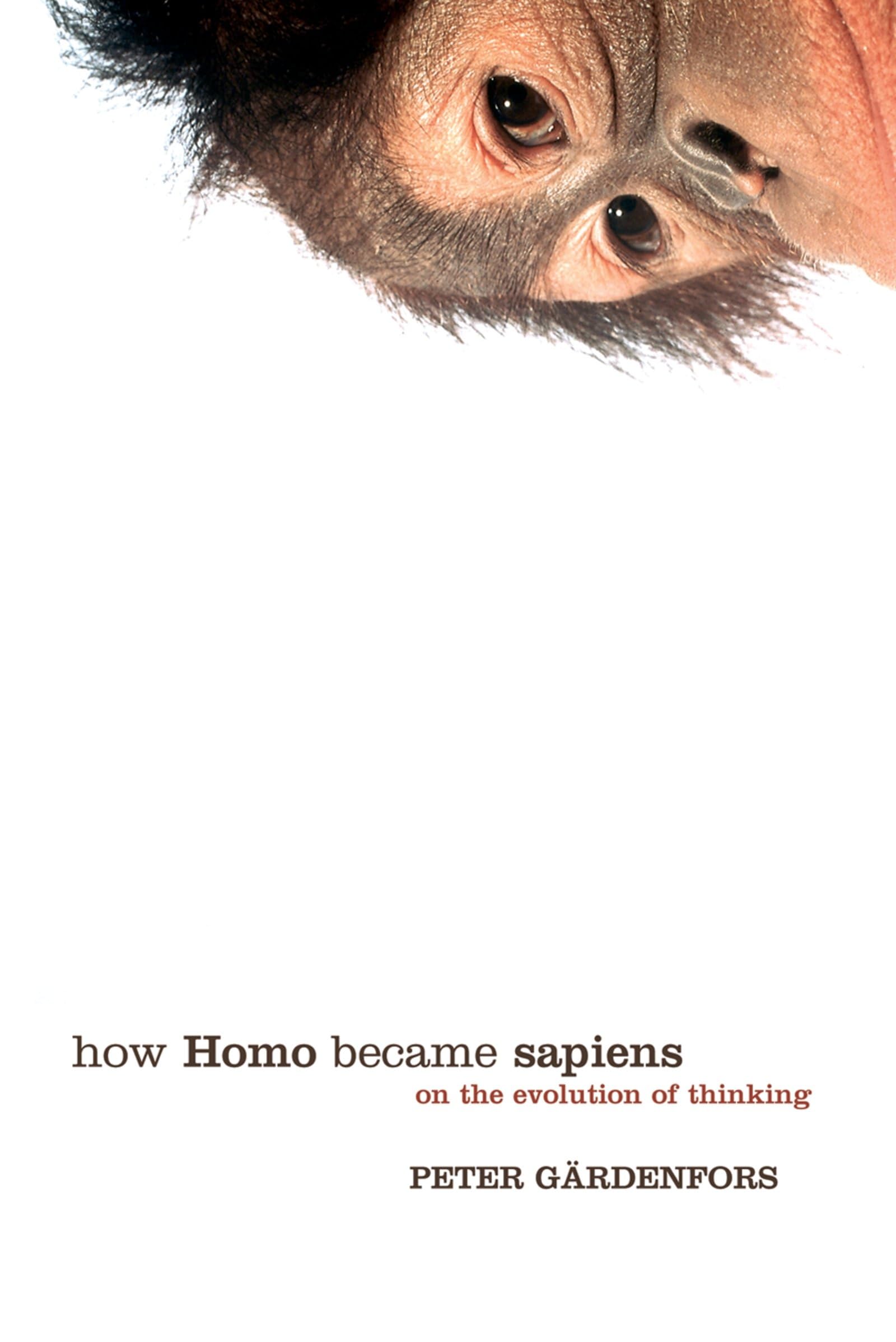 How Homo Became Sapiens: On the Evolution of Thinking,Used