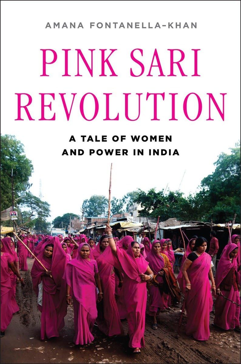Pink Sari Revolution: A Tale of Women and Power in India,Used