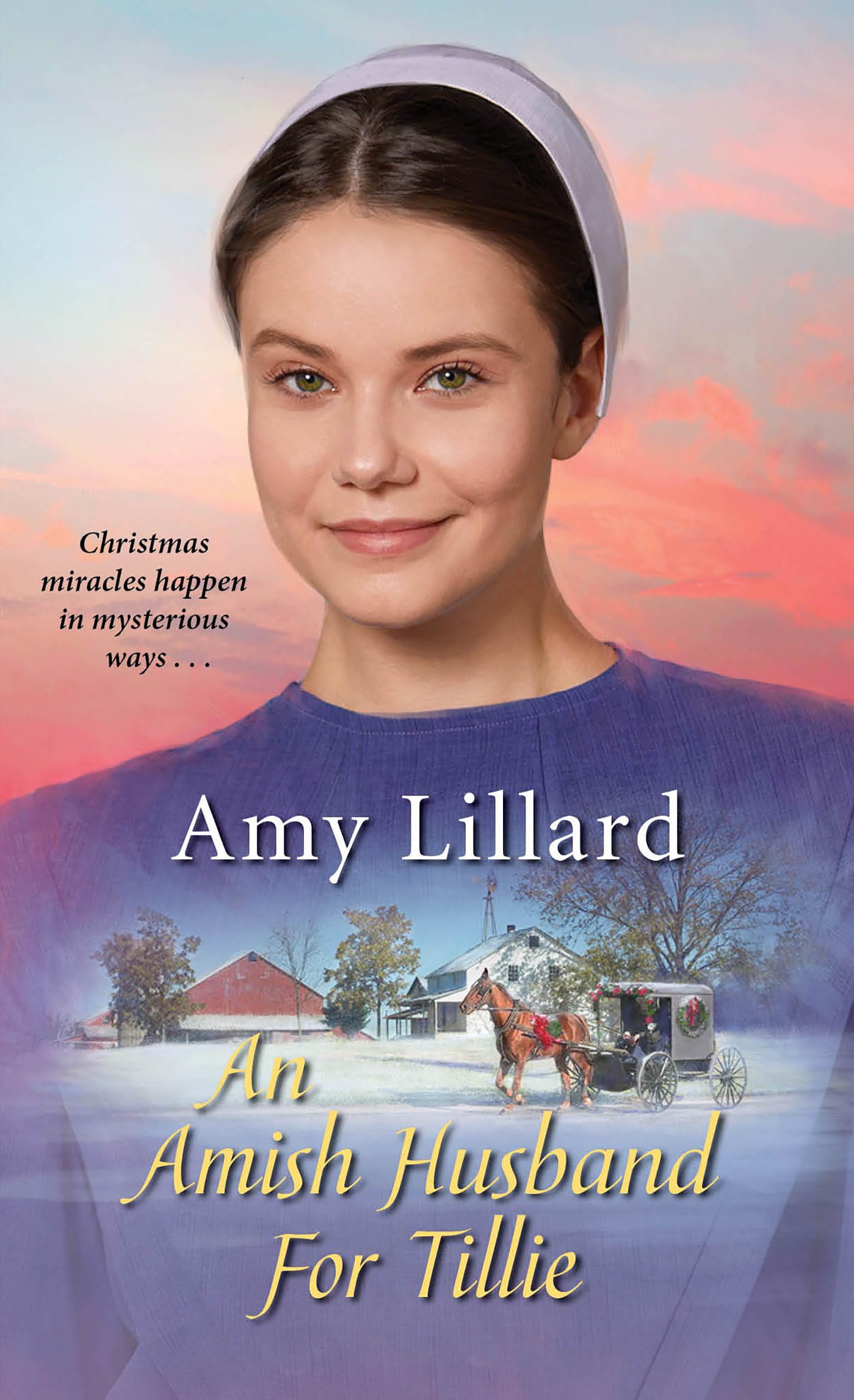 An Amish Husband for Tillie (Amish of Pontotoc),Used
