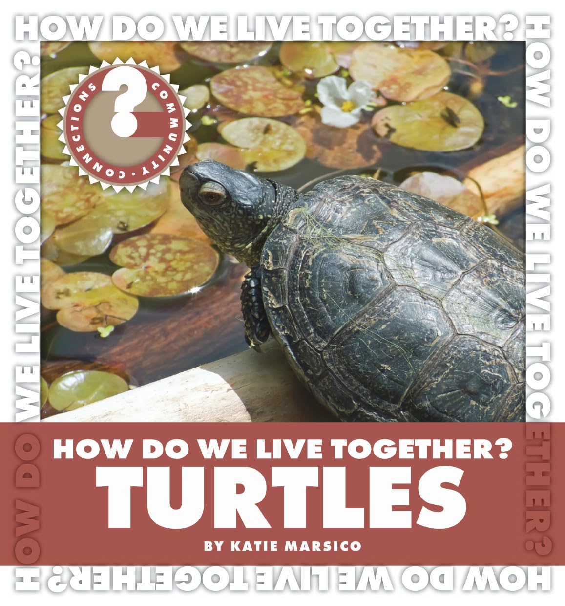 How Do We Live Together? Turtles (Community Connections: How Do We Live Together?),Used