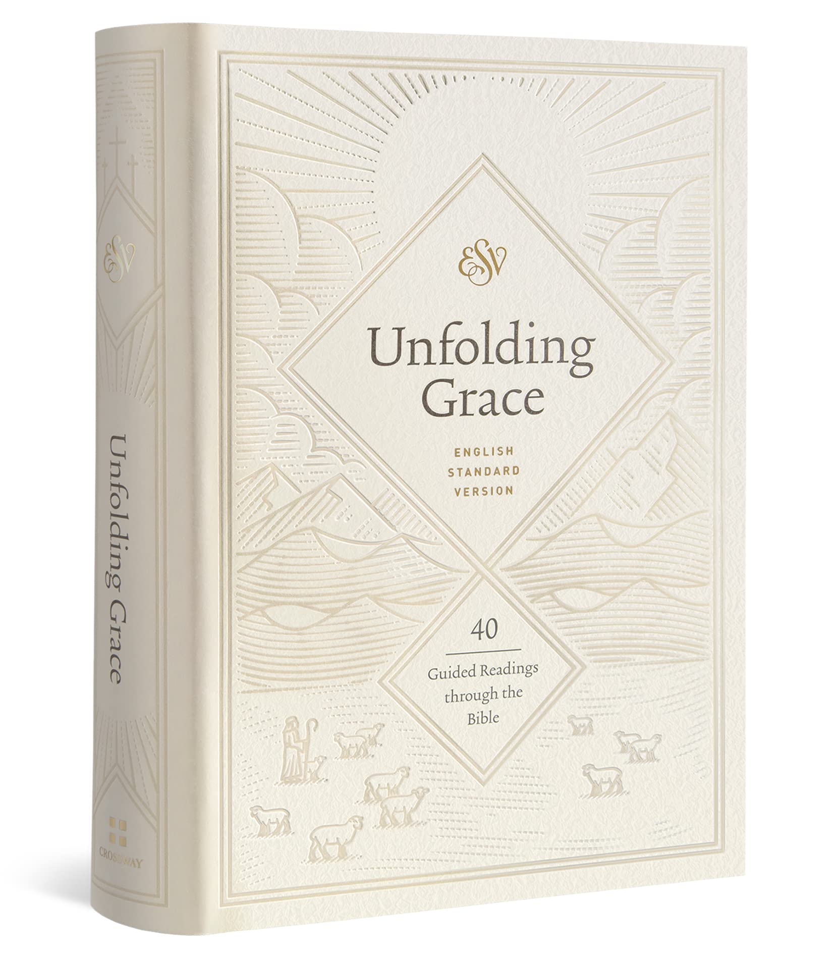Unfolding Grace: 40 Guided Readings through the Bible (Hardcover),Used