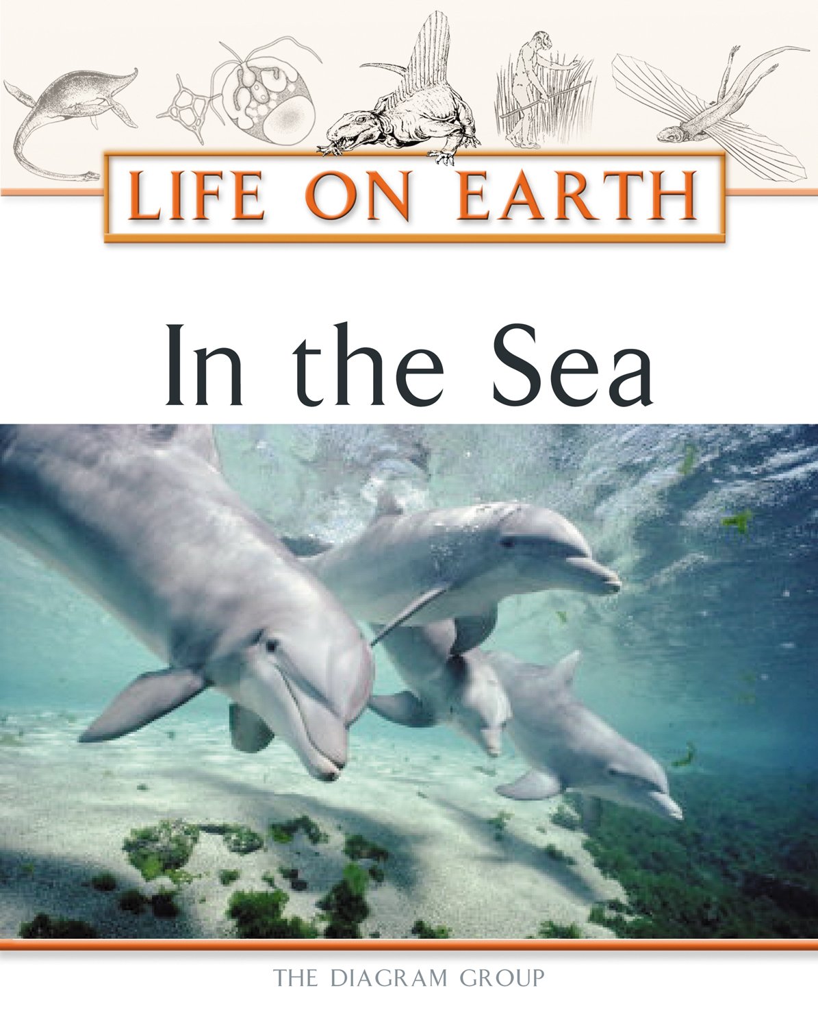 In The Sea (Life On Earth),New