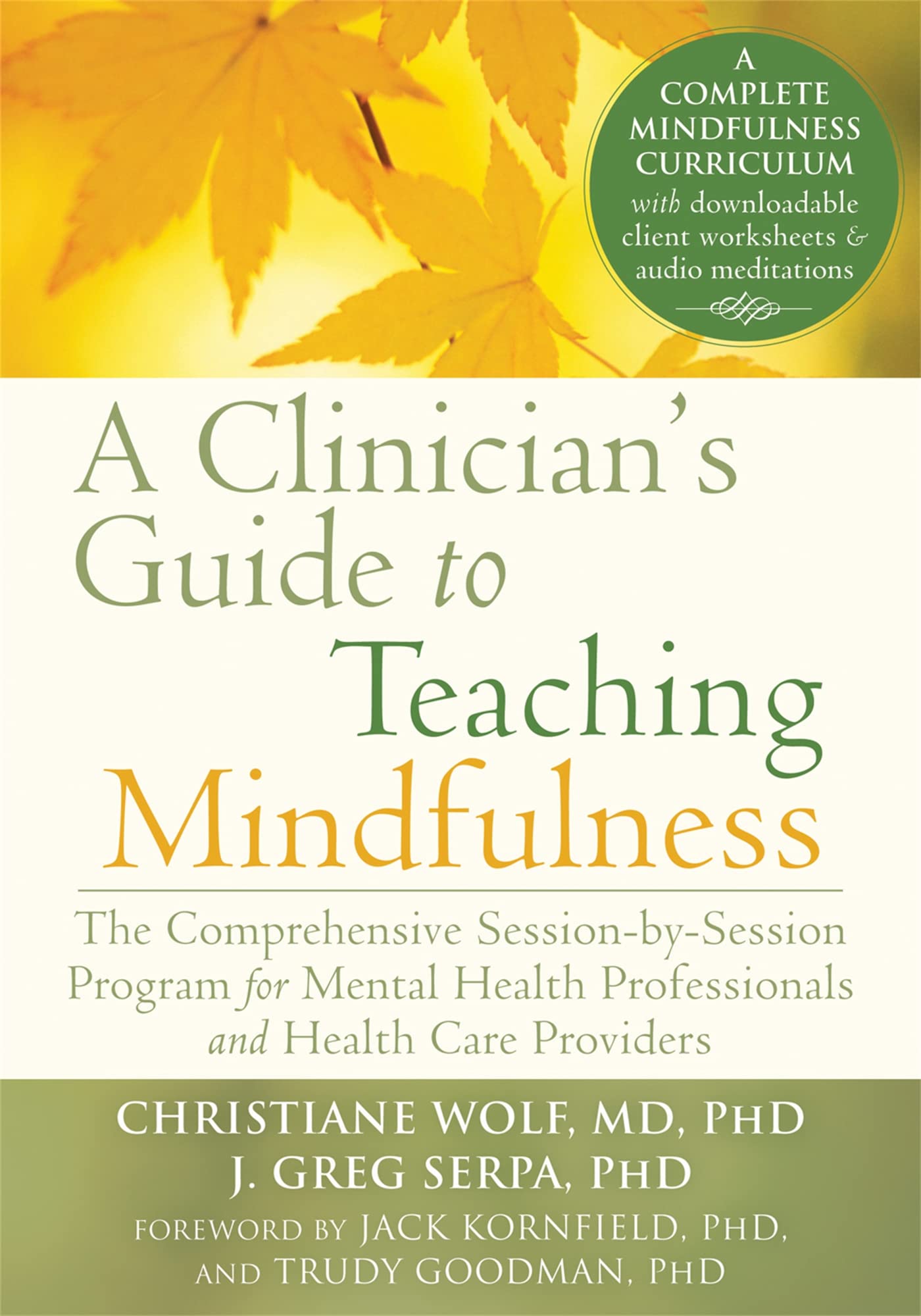 A Clinician'S Guide To Teaching Mindfulness: The Comprehensive Sessionbysession Program For Mental Health Professionals And He