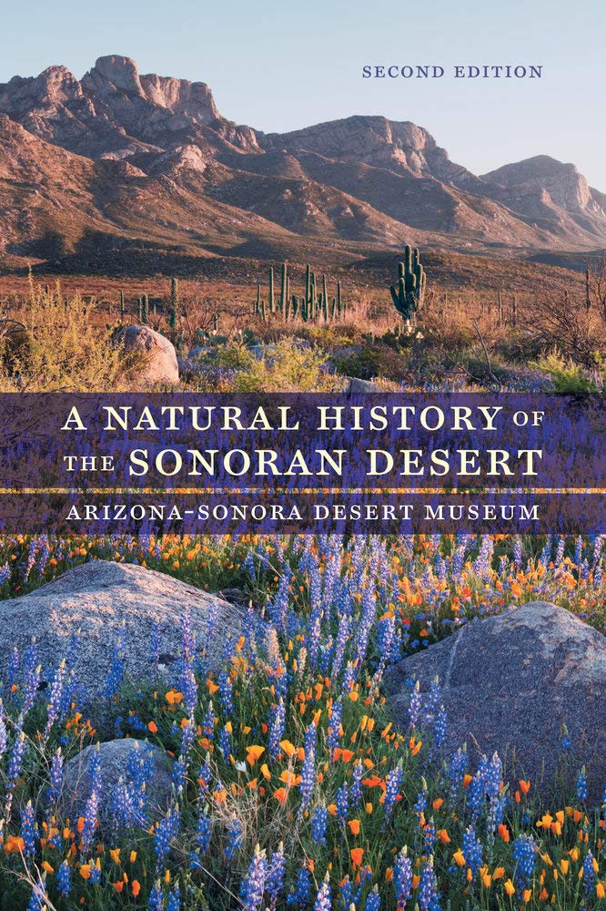 A Natural History Of The Sonoran Desert