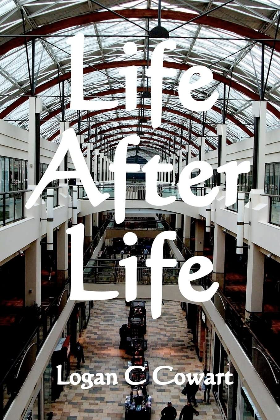 Life After Life: Large Print Edition,Used