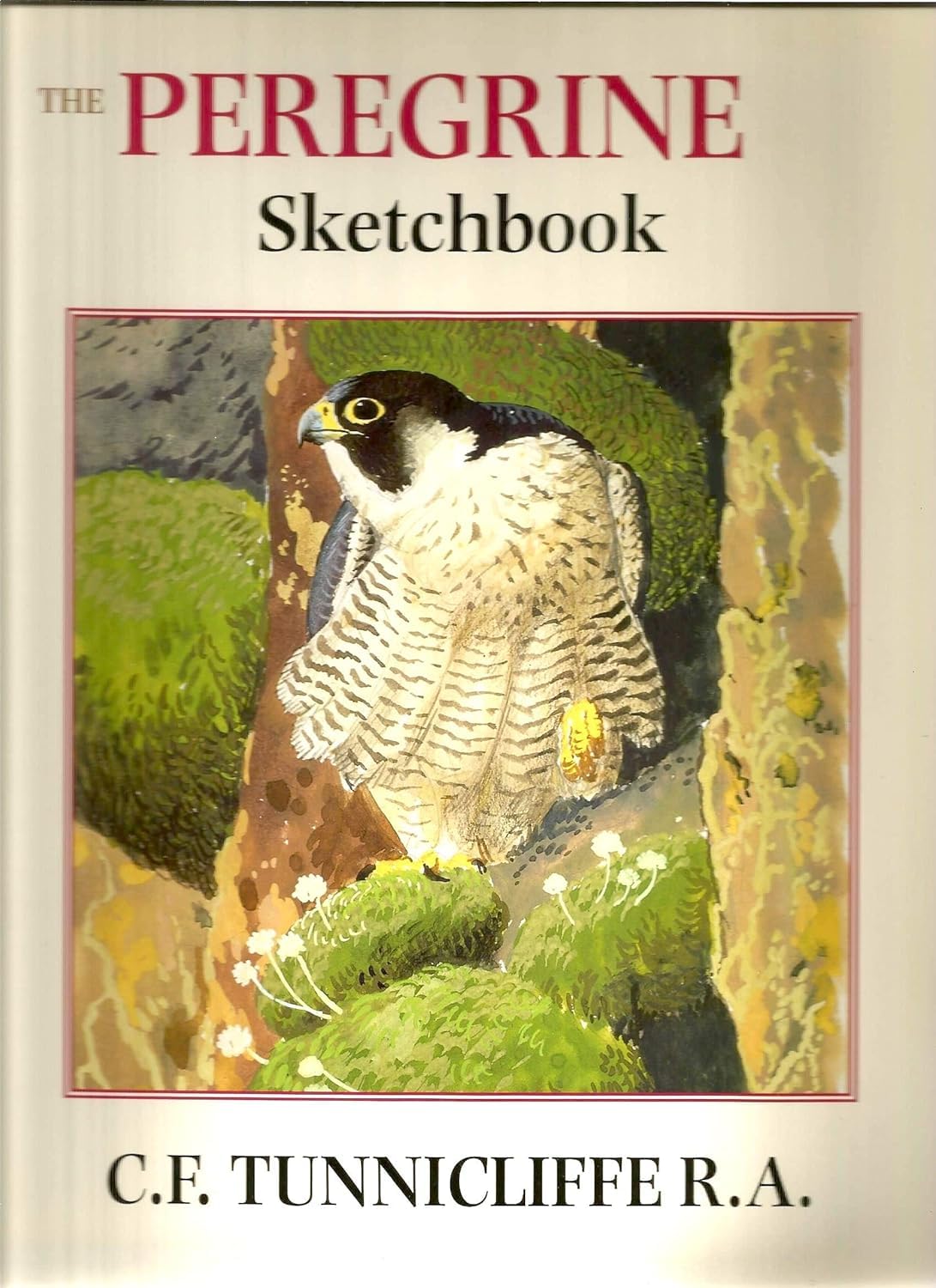 The Peregrine Sketchbook,Used