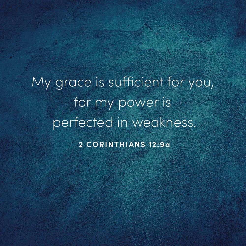 Gideon: Your Weakness. God's Strength. Bible Study Book,New