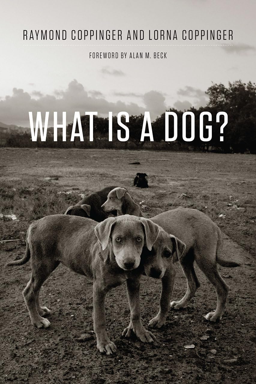 What Is a Dog?,Used