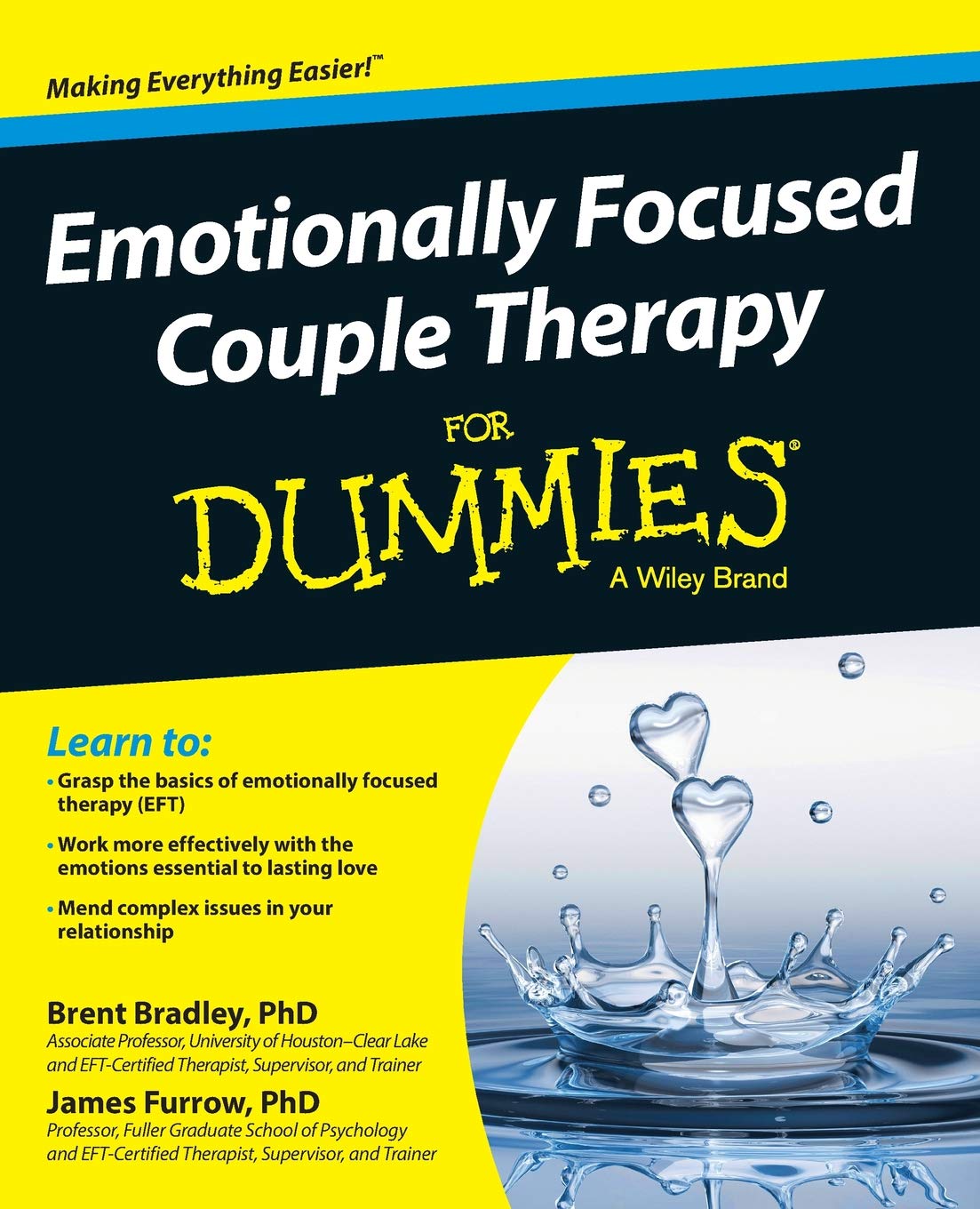 Emotionally Focused Couple Therapy For Dummies,Used