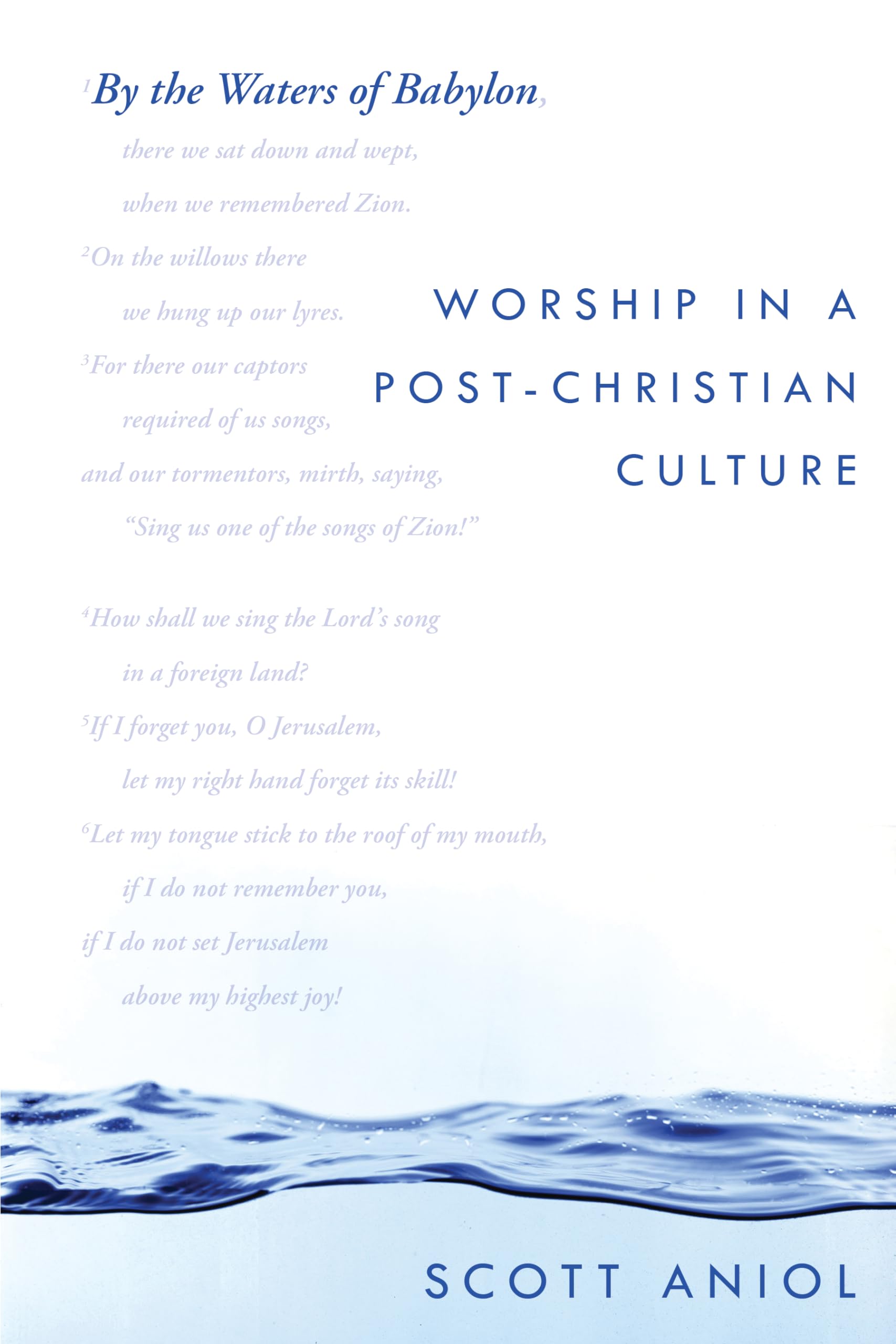 By the Waters of Babylon: Worship in a PostChristian Culture,Used