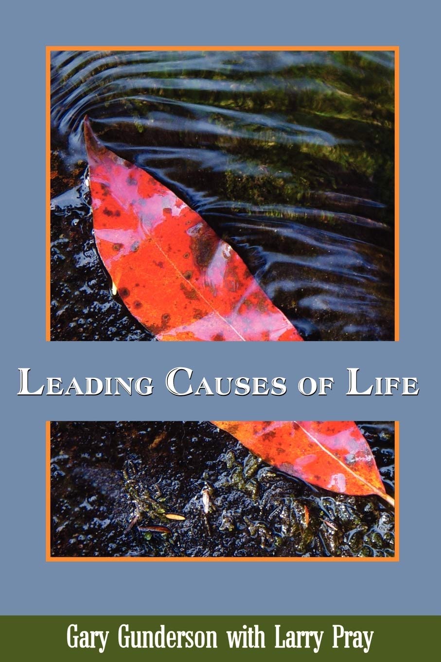 Leading Causes of Life,Used