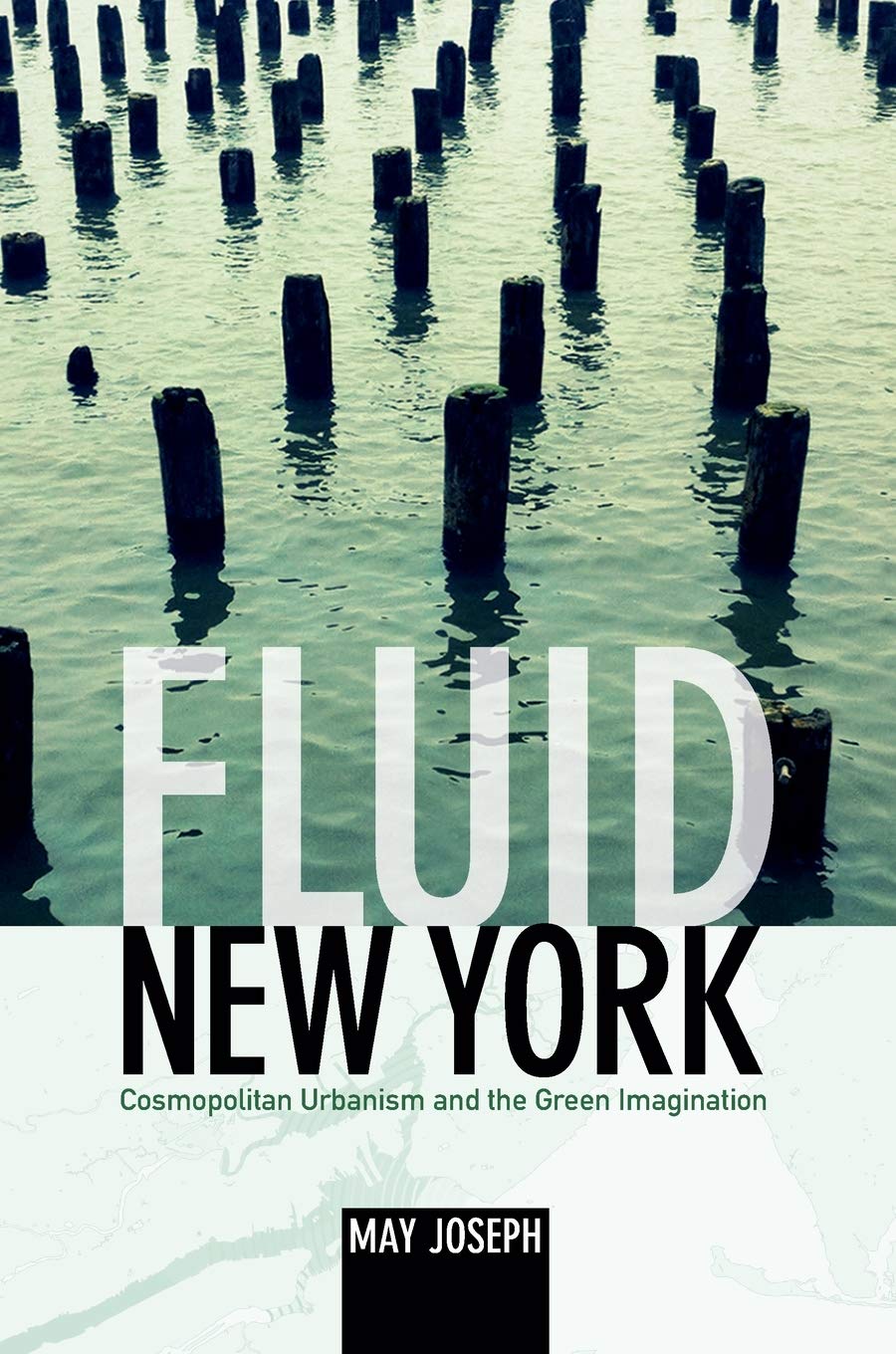 Fluid New York: Cosmopolitan Urbanism and the Green Imagination,Used