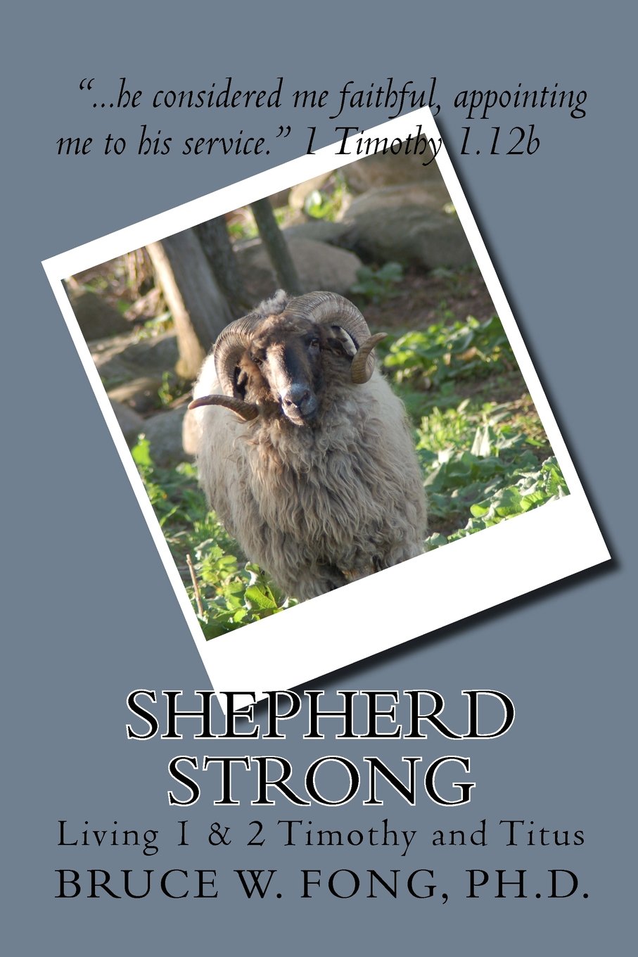 Shepherd Strong 'Living 1 & 2 Timothy': Implementing The Study Of Scripture Into Our Daily Lives,Used