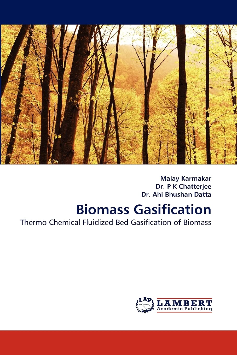 Biomass Gasification: Thermo Chemical Fluidized Bed Gasification of Biomass,Used